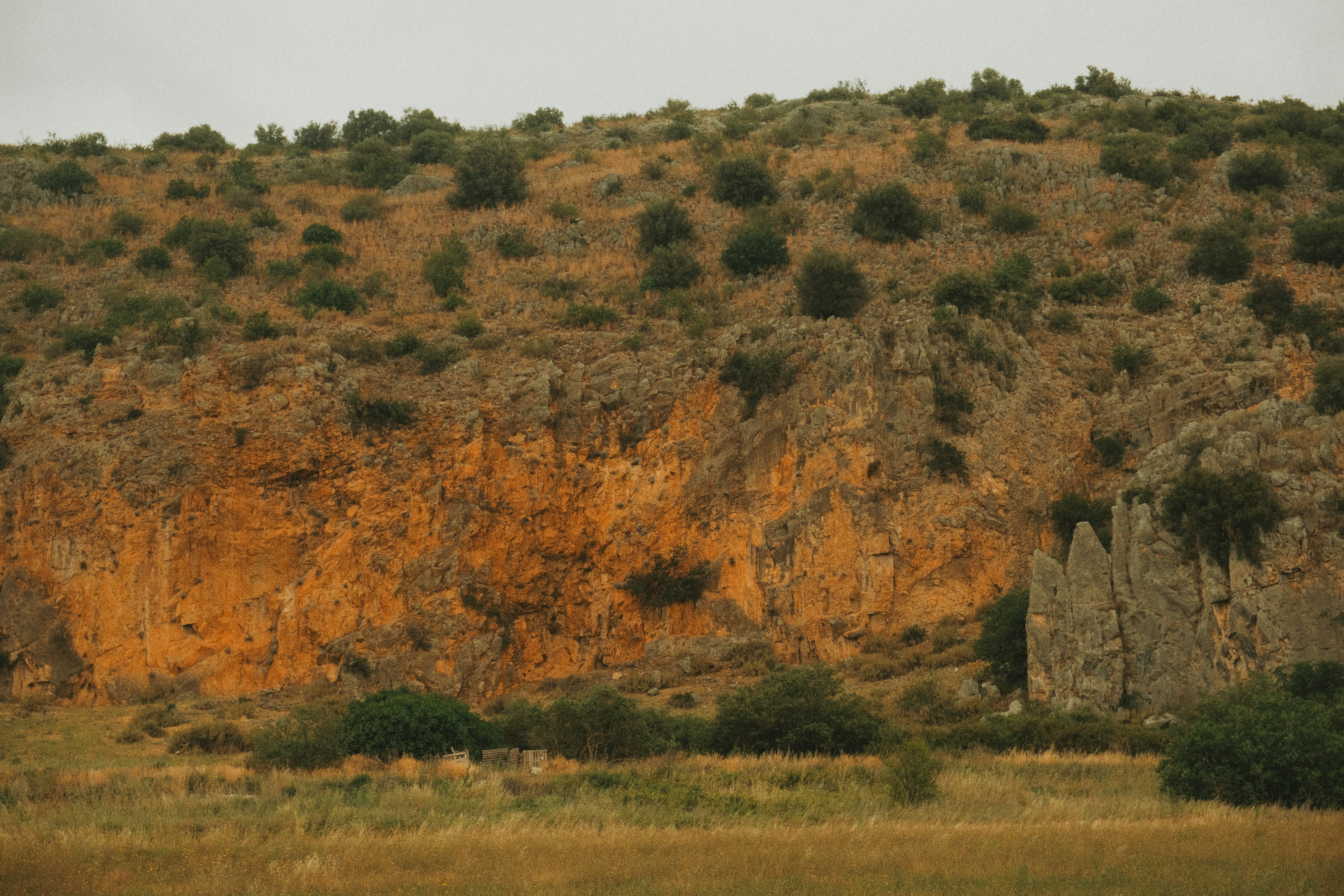 Photo by alexispresa