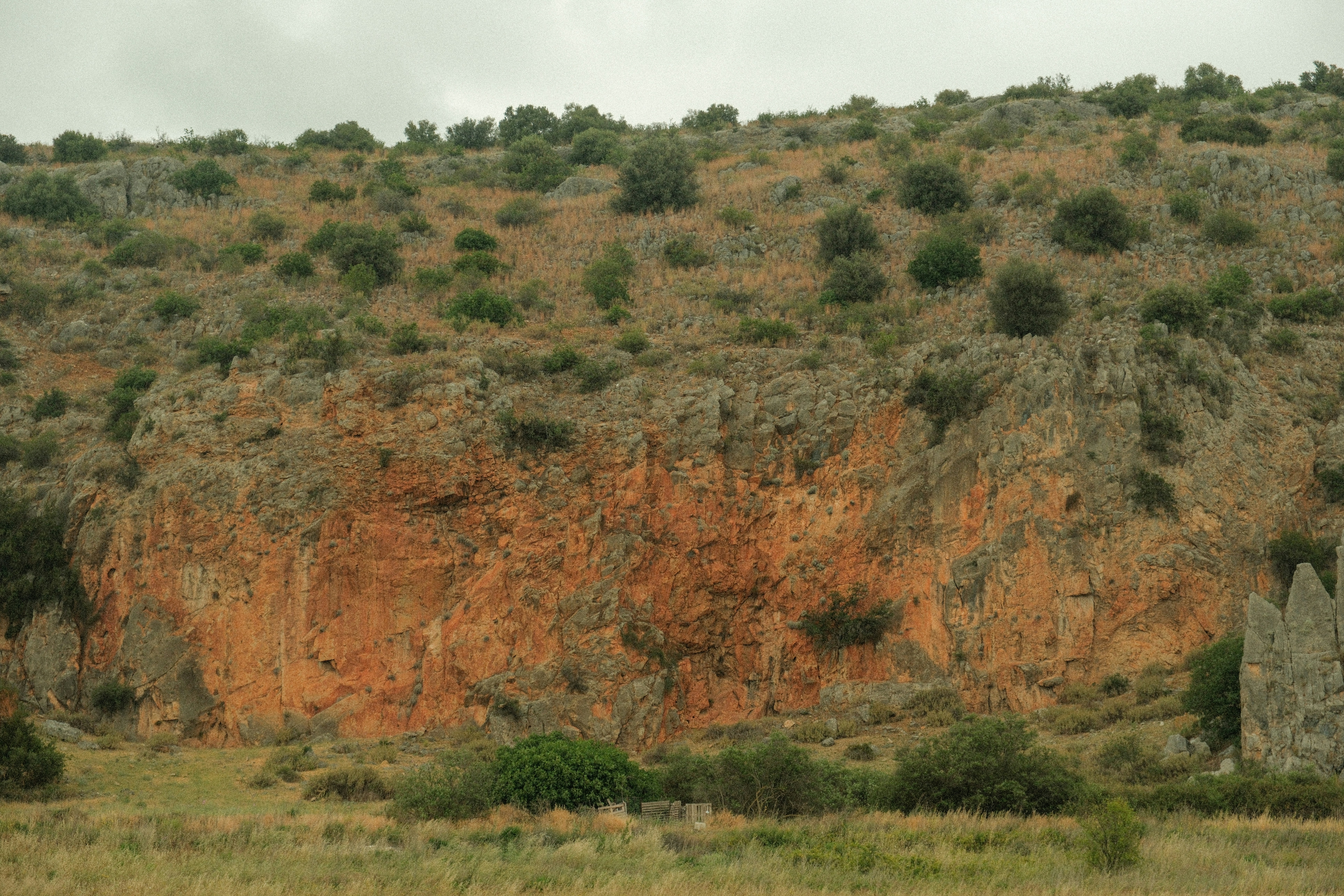 a giraffe standing in front of a rocky hillside