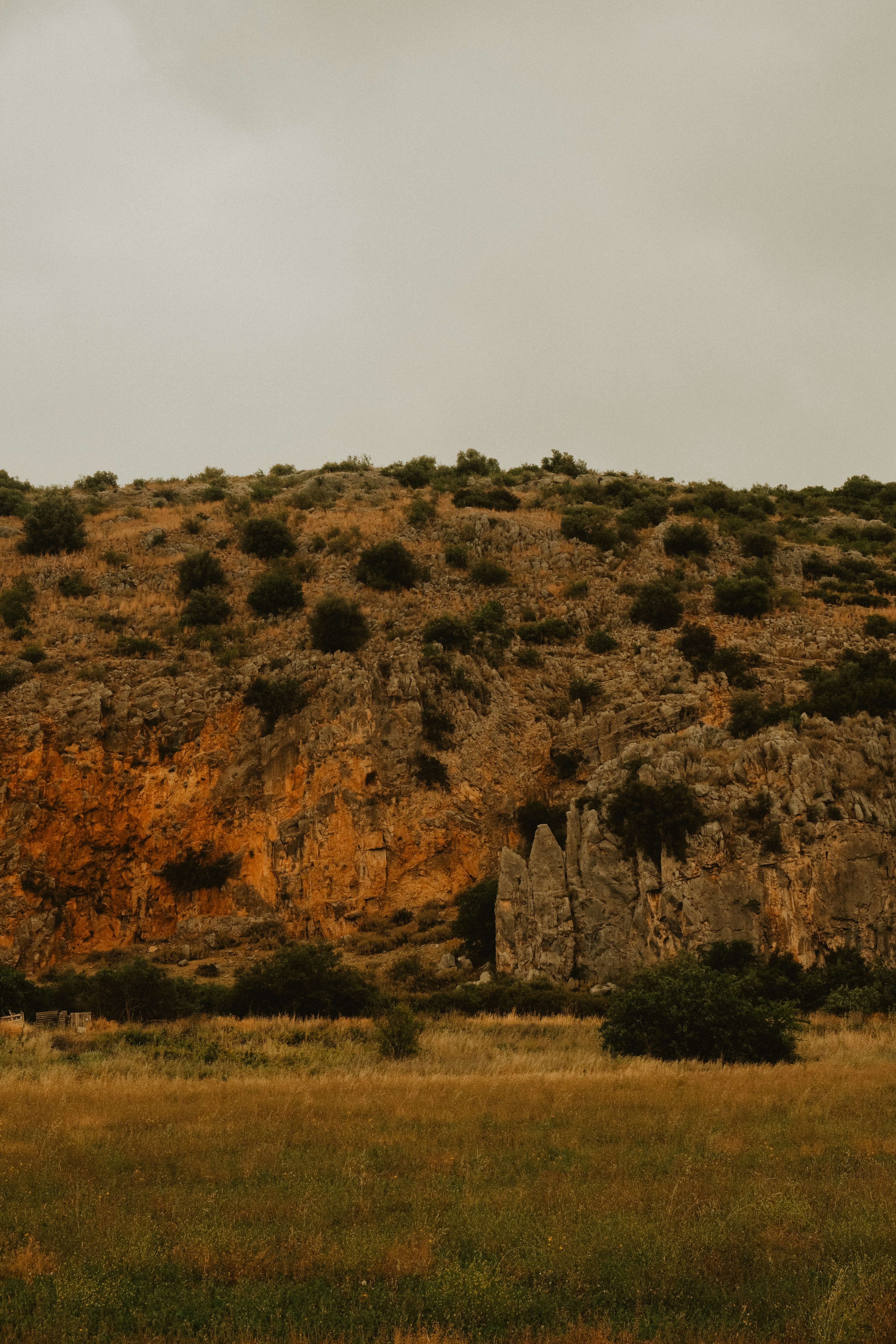 Photo by alexispresa