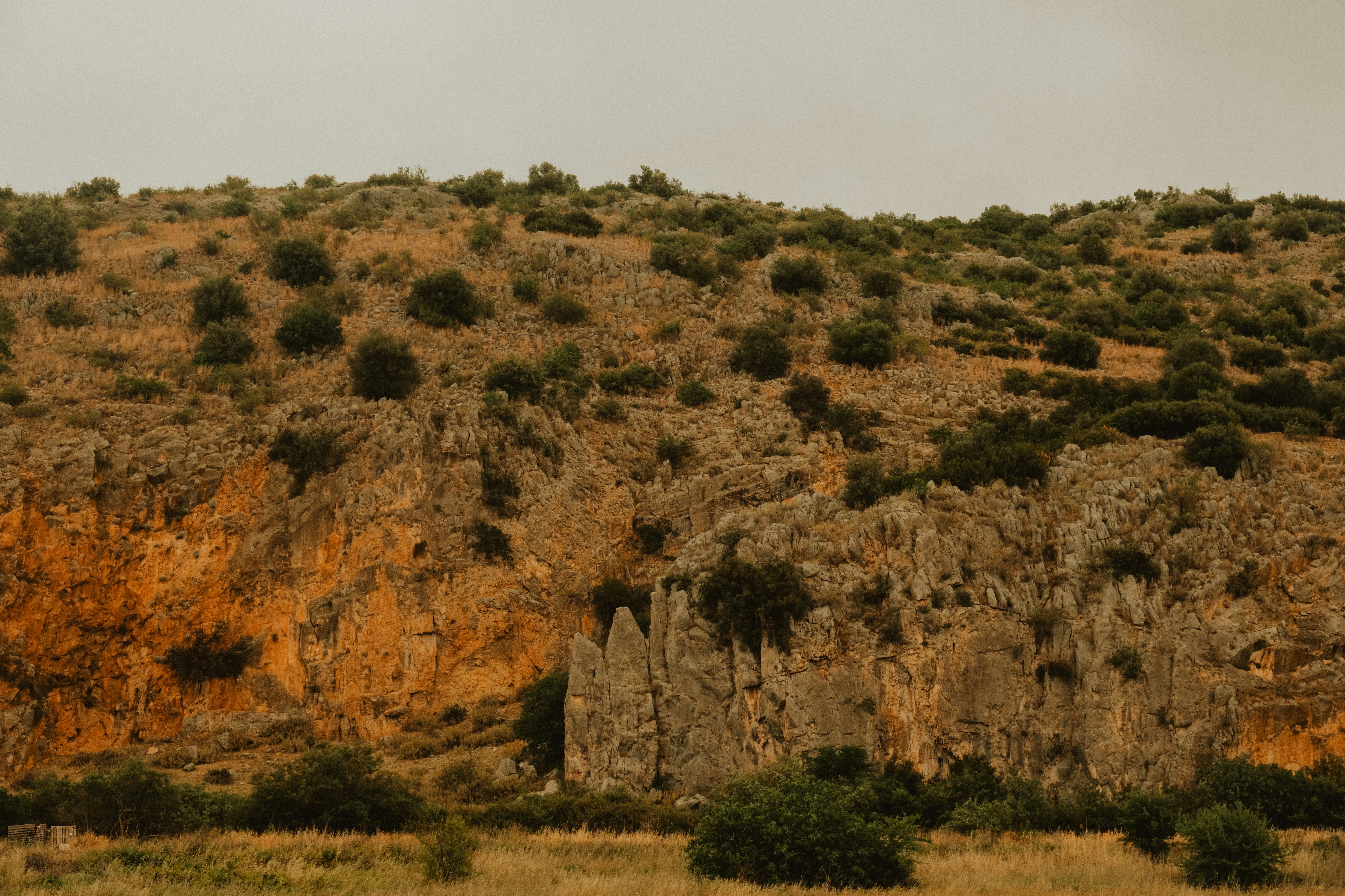 Photo by alexispresa