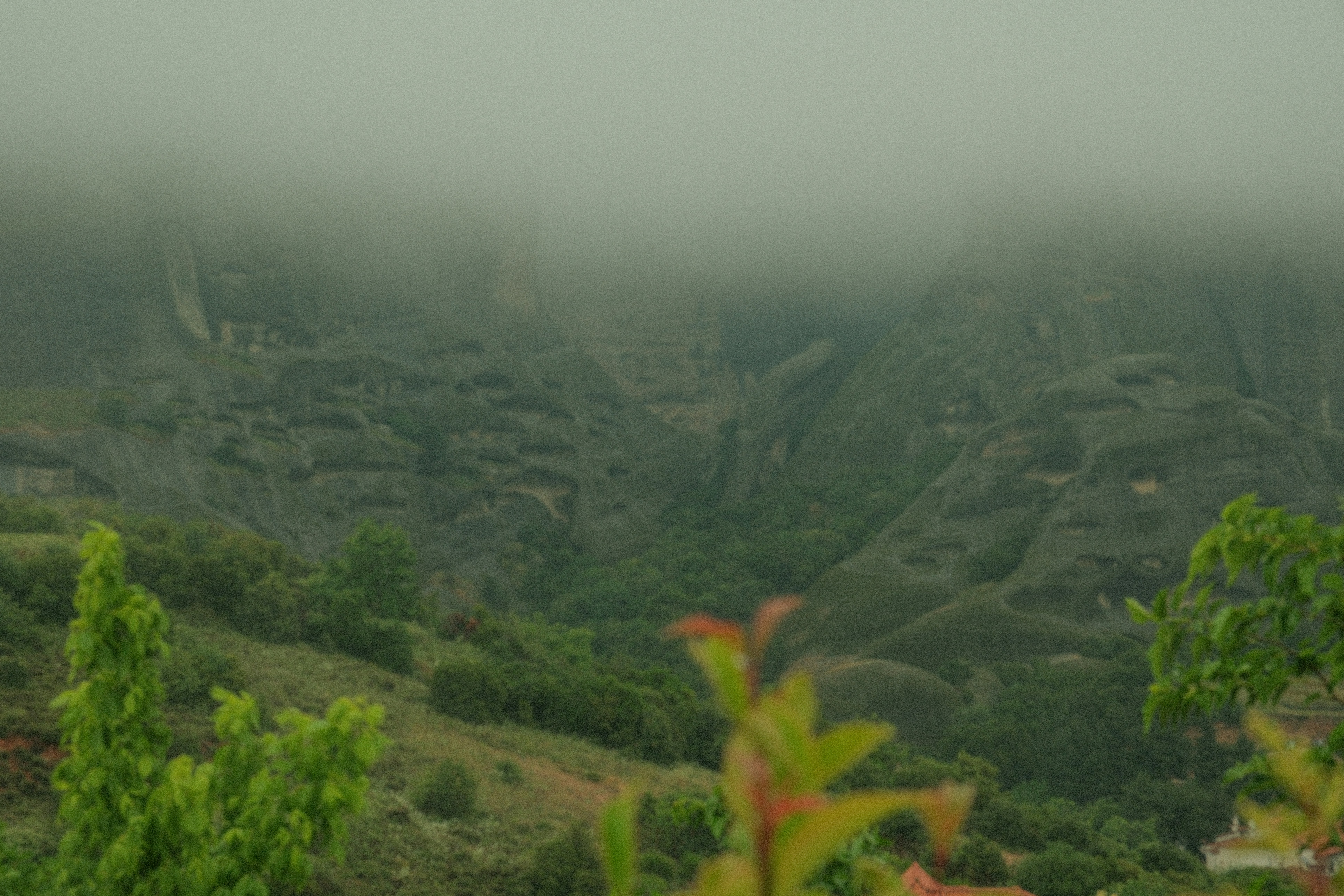 Photo by alexispresa