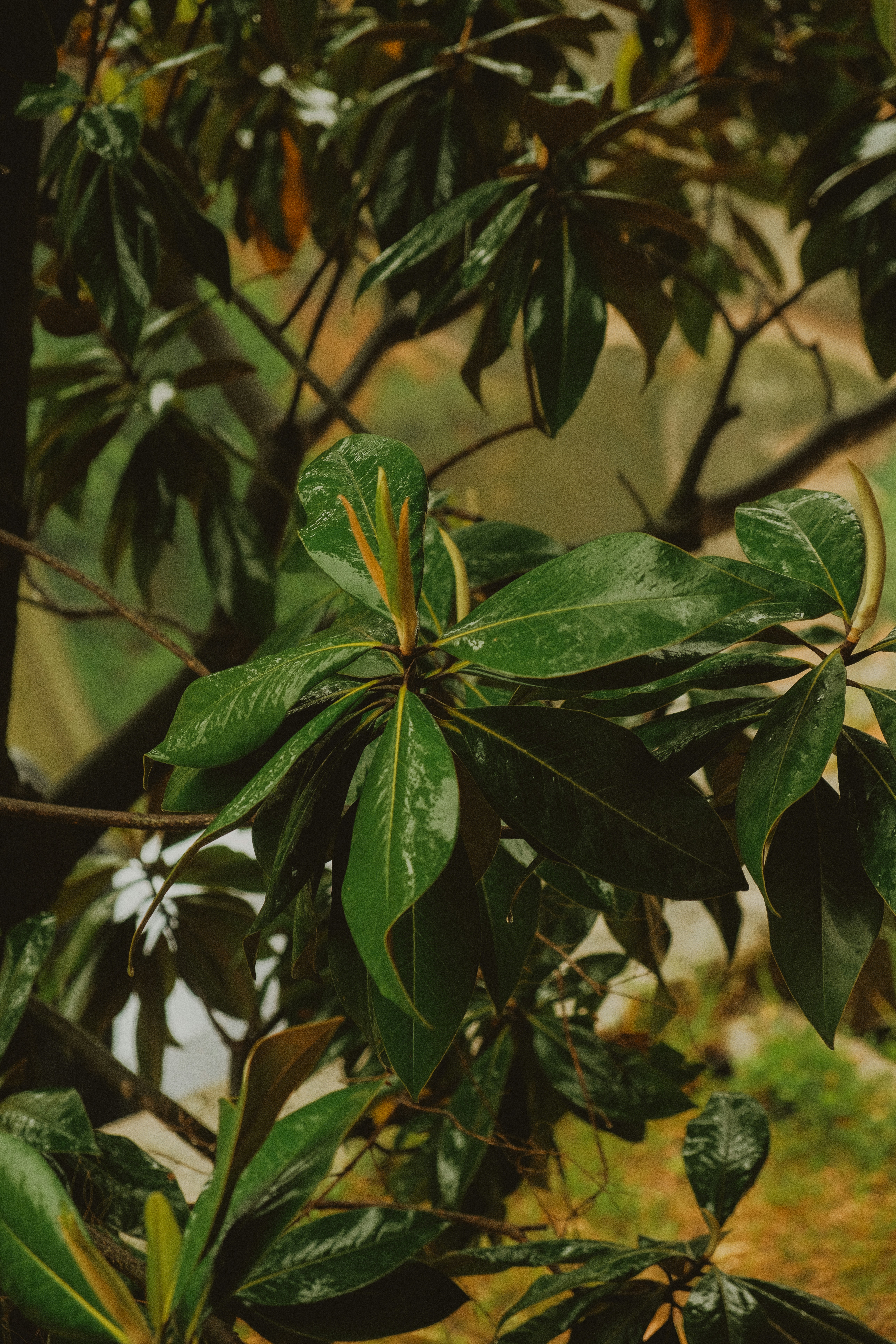 Photo by alexispresa