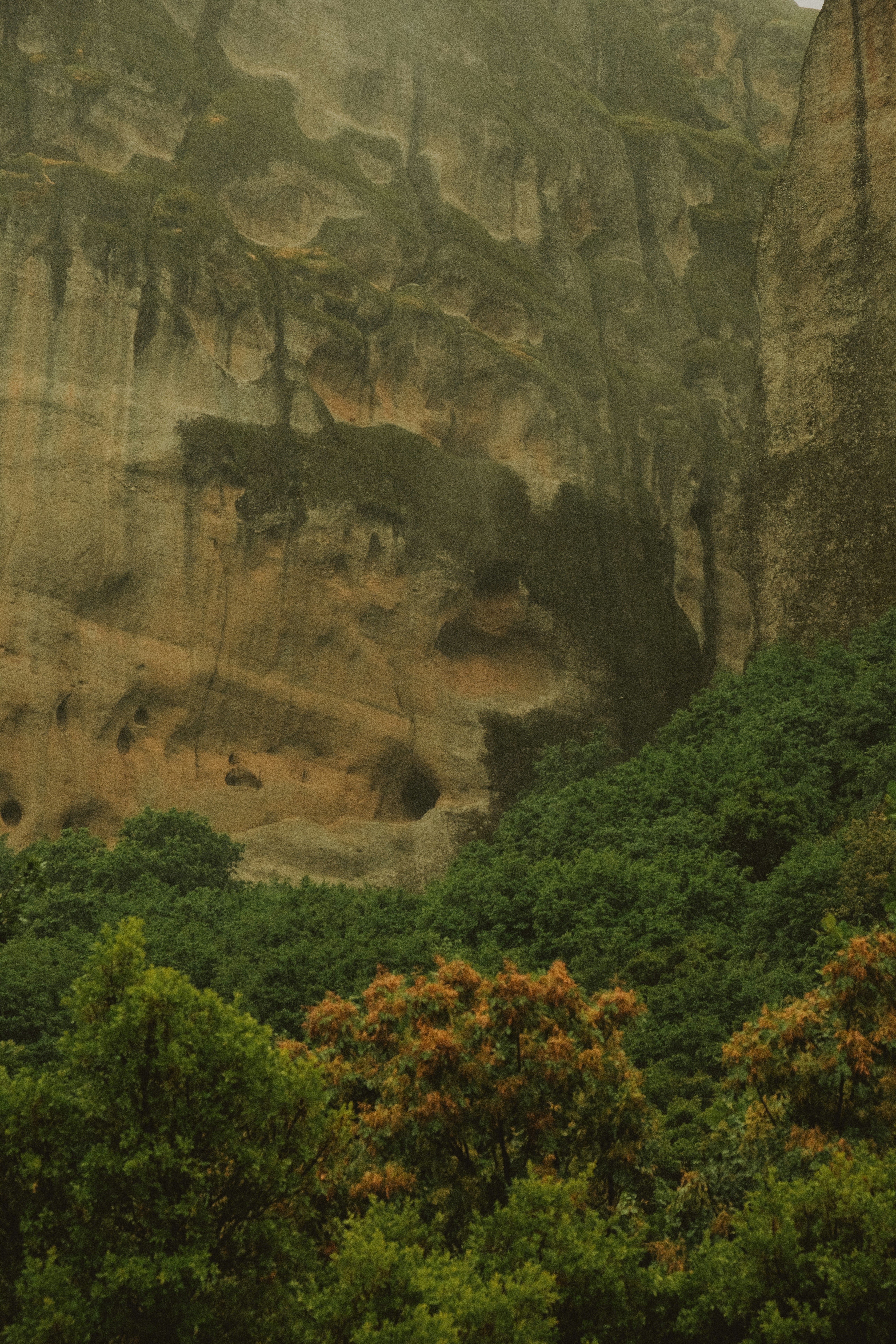 Photo by alexispresa