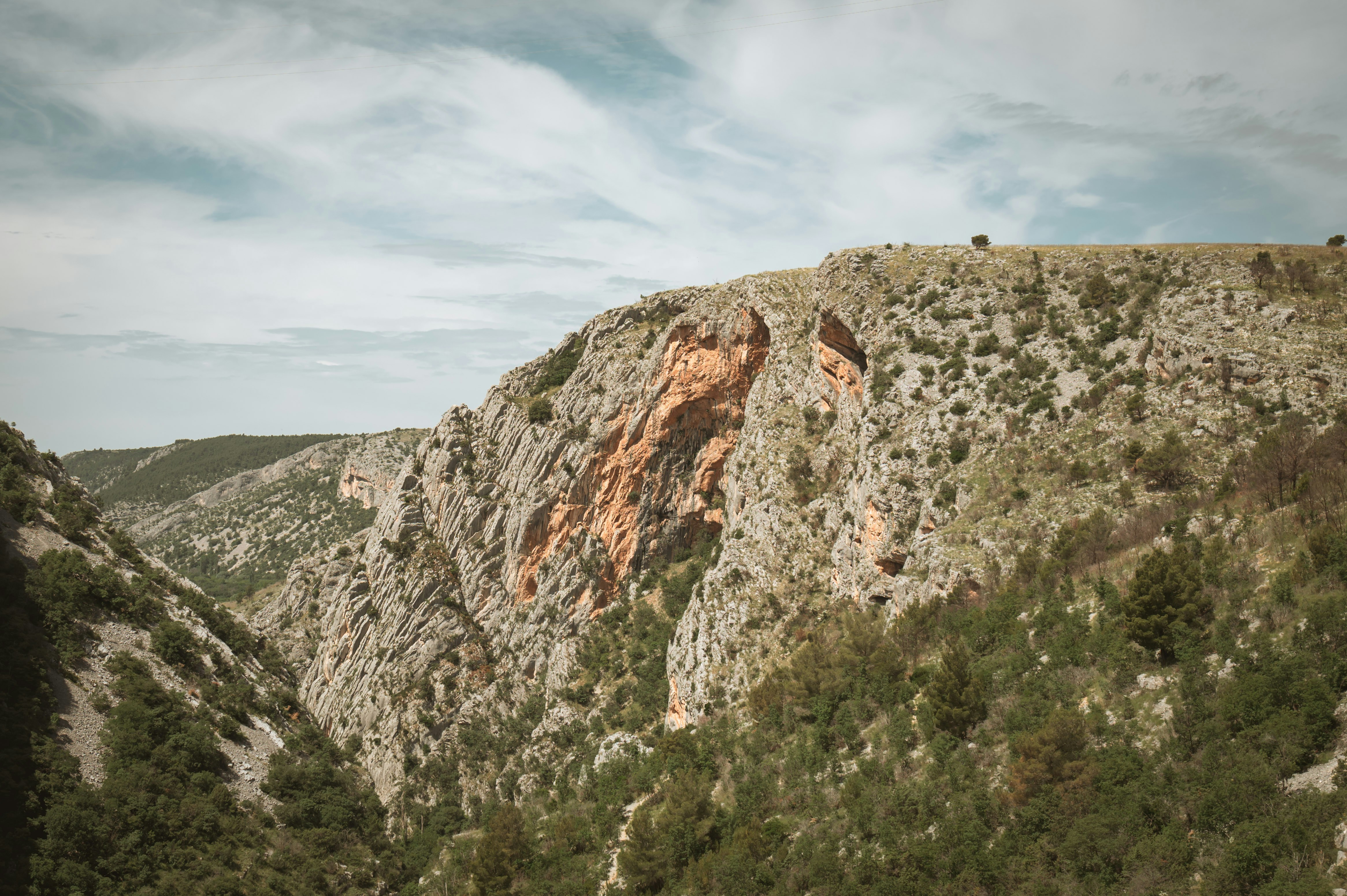 Photo by photofeaver