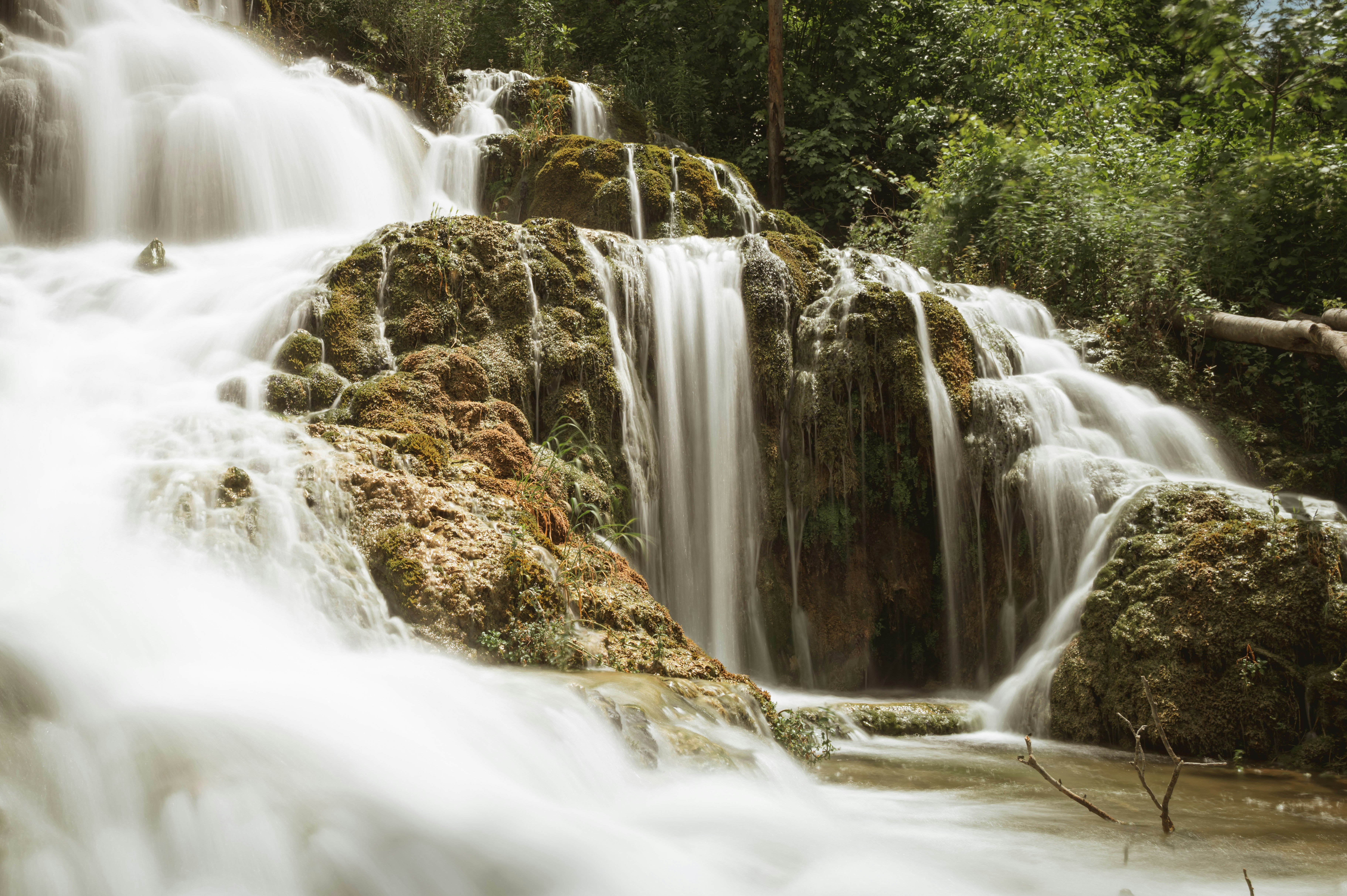 Photo by photofeaver