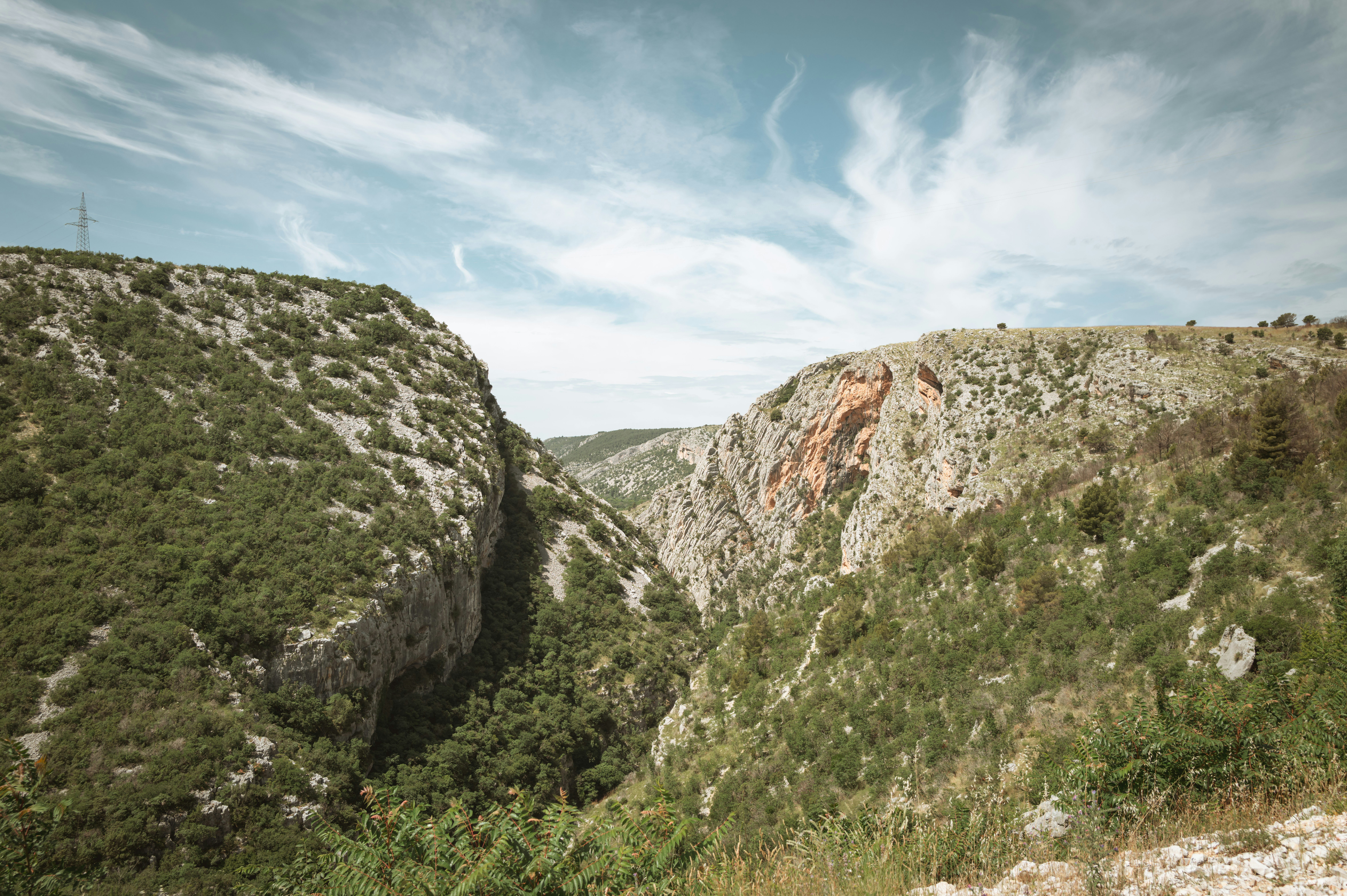 Photo by photofeaver