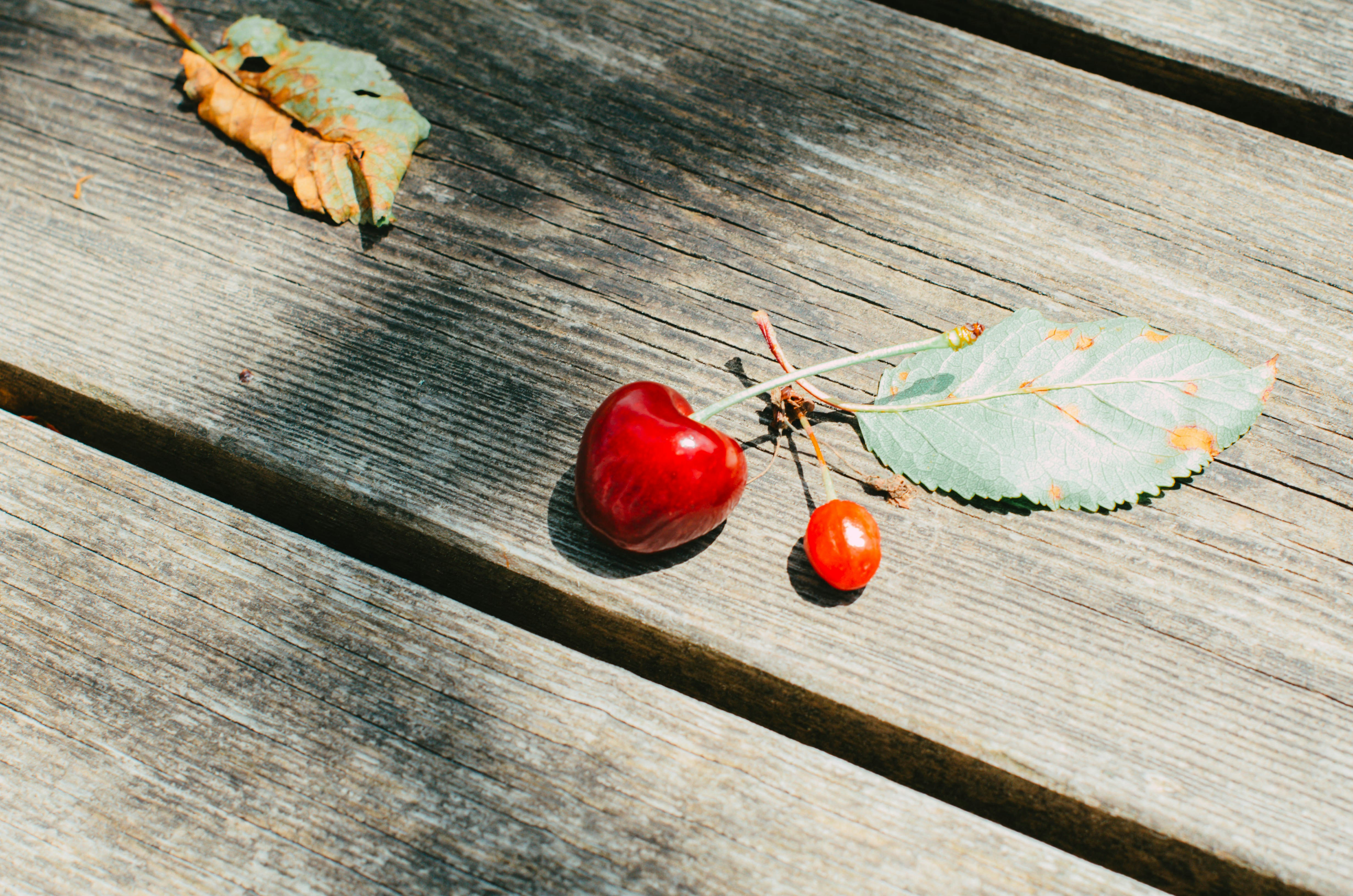 Photo by nika_benedictova