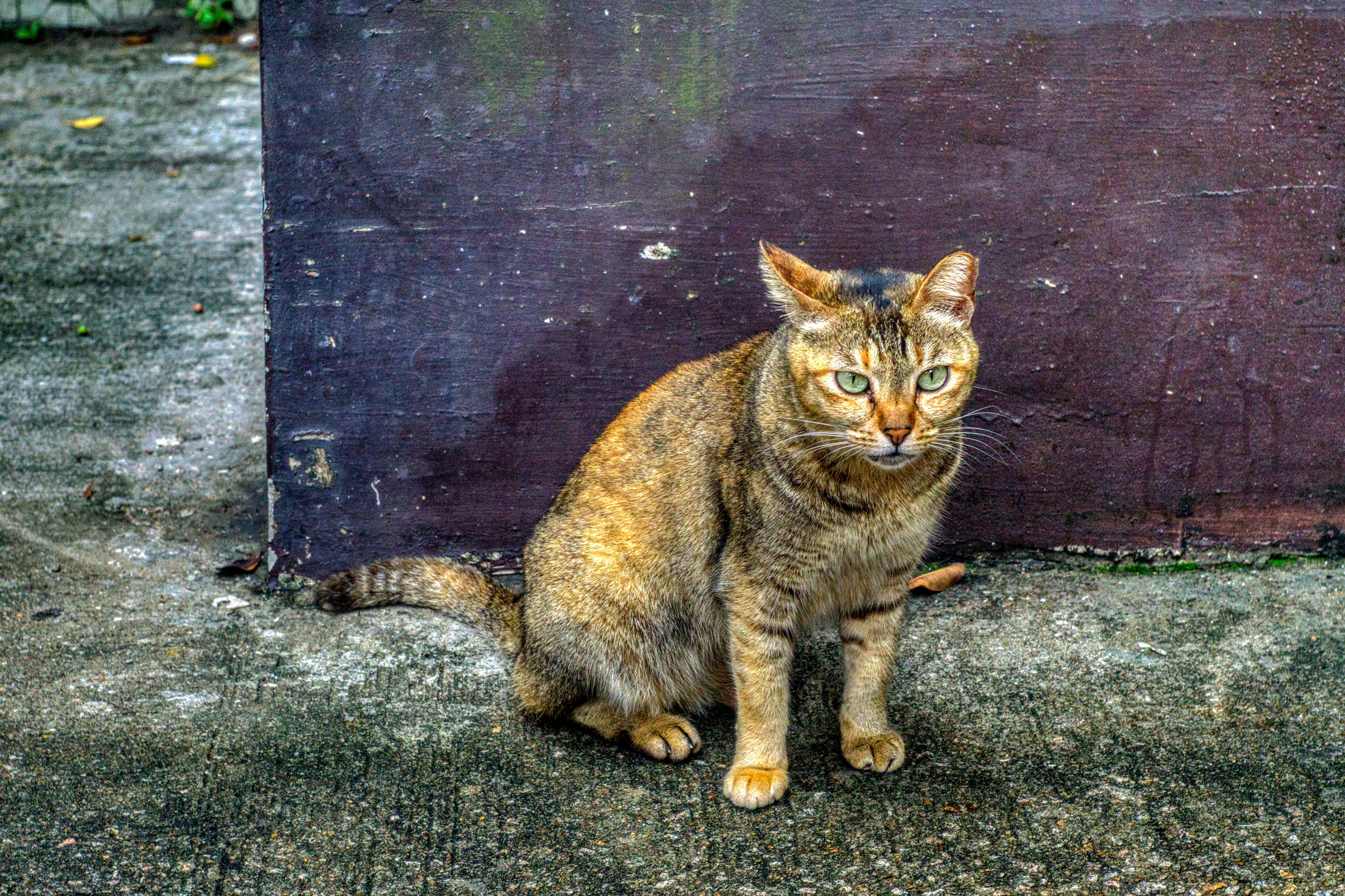 Photo by thomaskinto