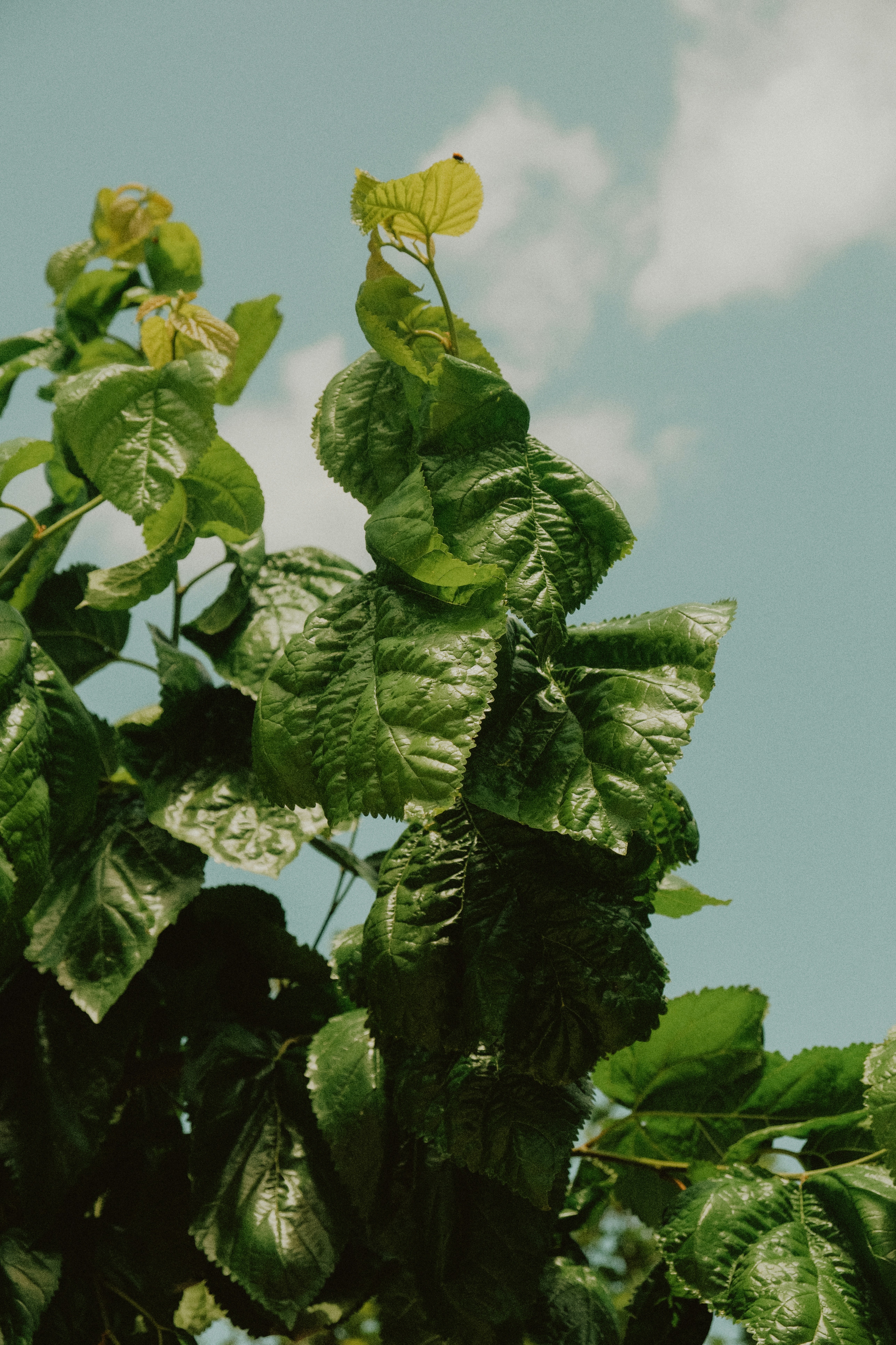 Photo by alexispresa