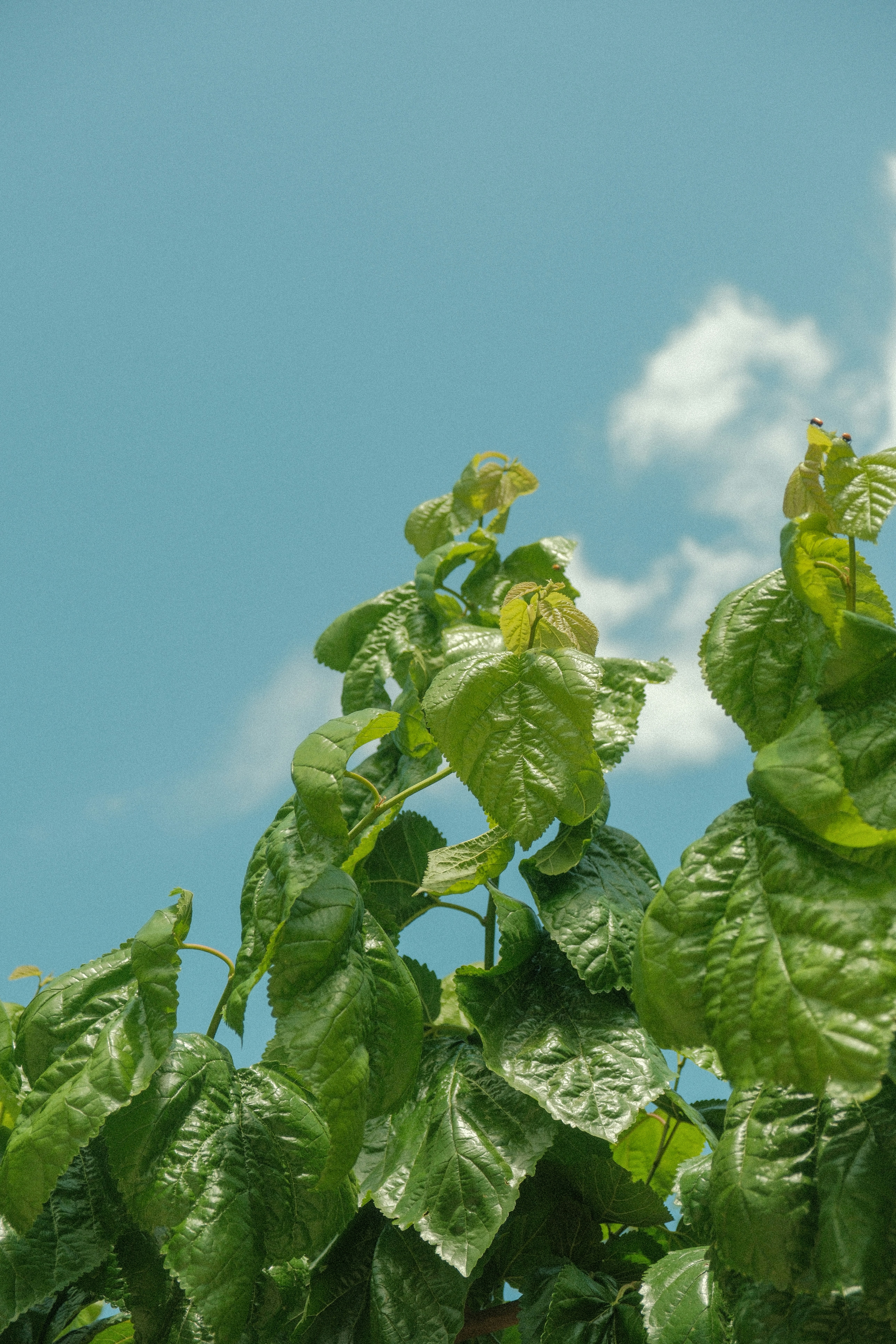 Photo by alexispresa