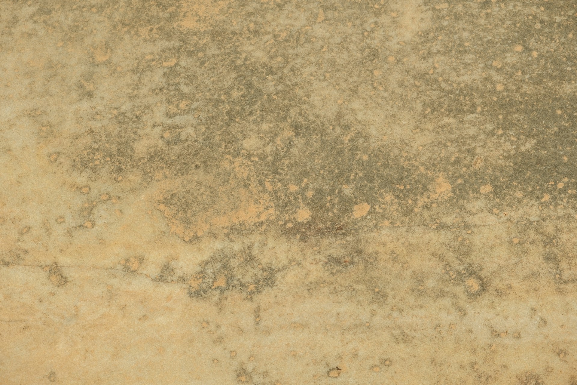 a close up of a stone surface with dirt on it