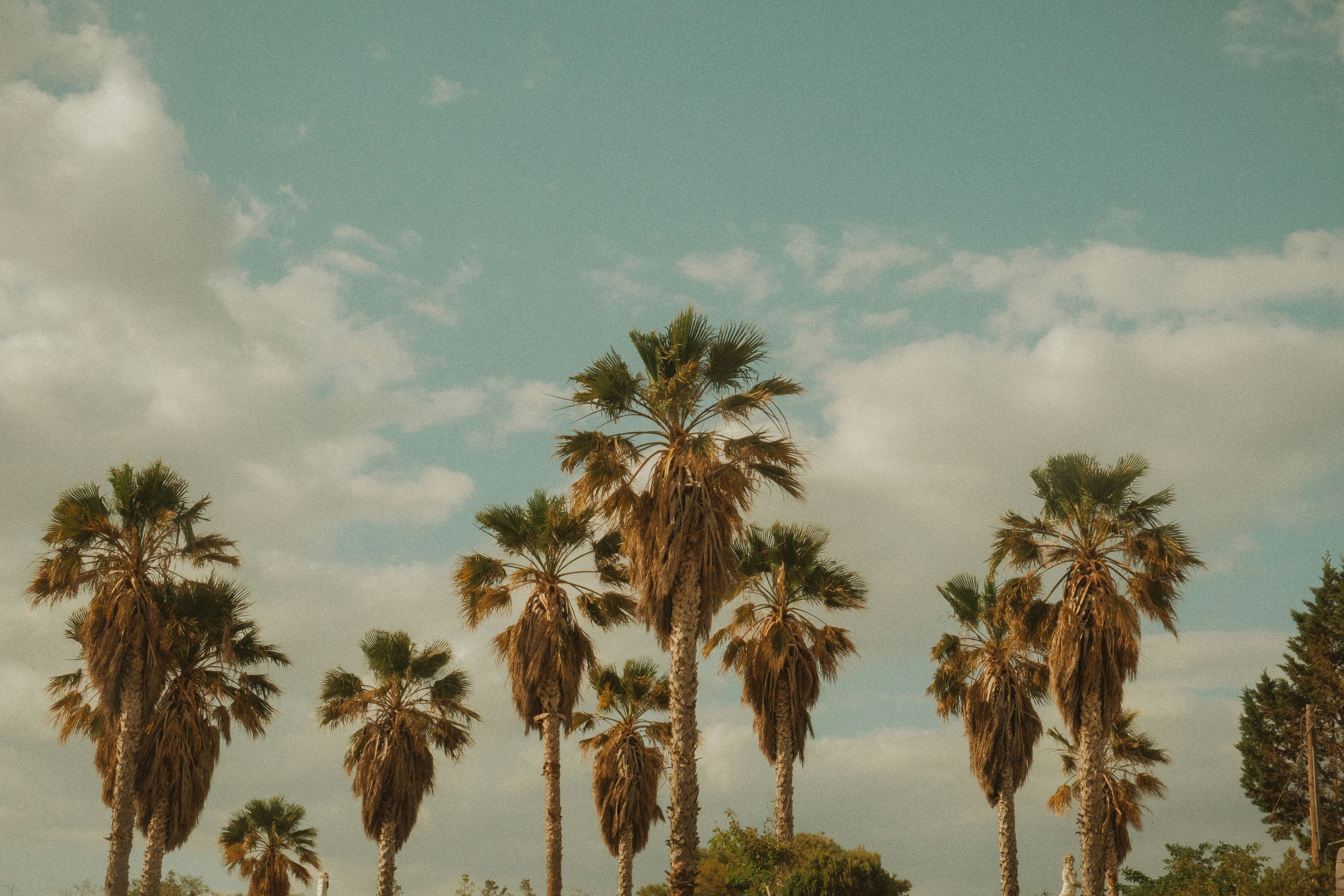 Photo by alexispresa