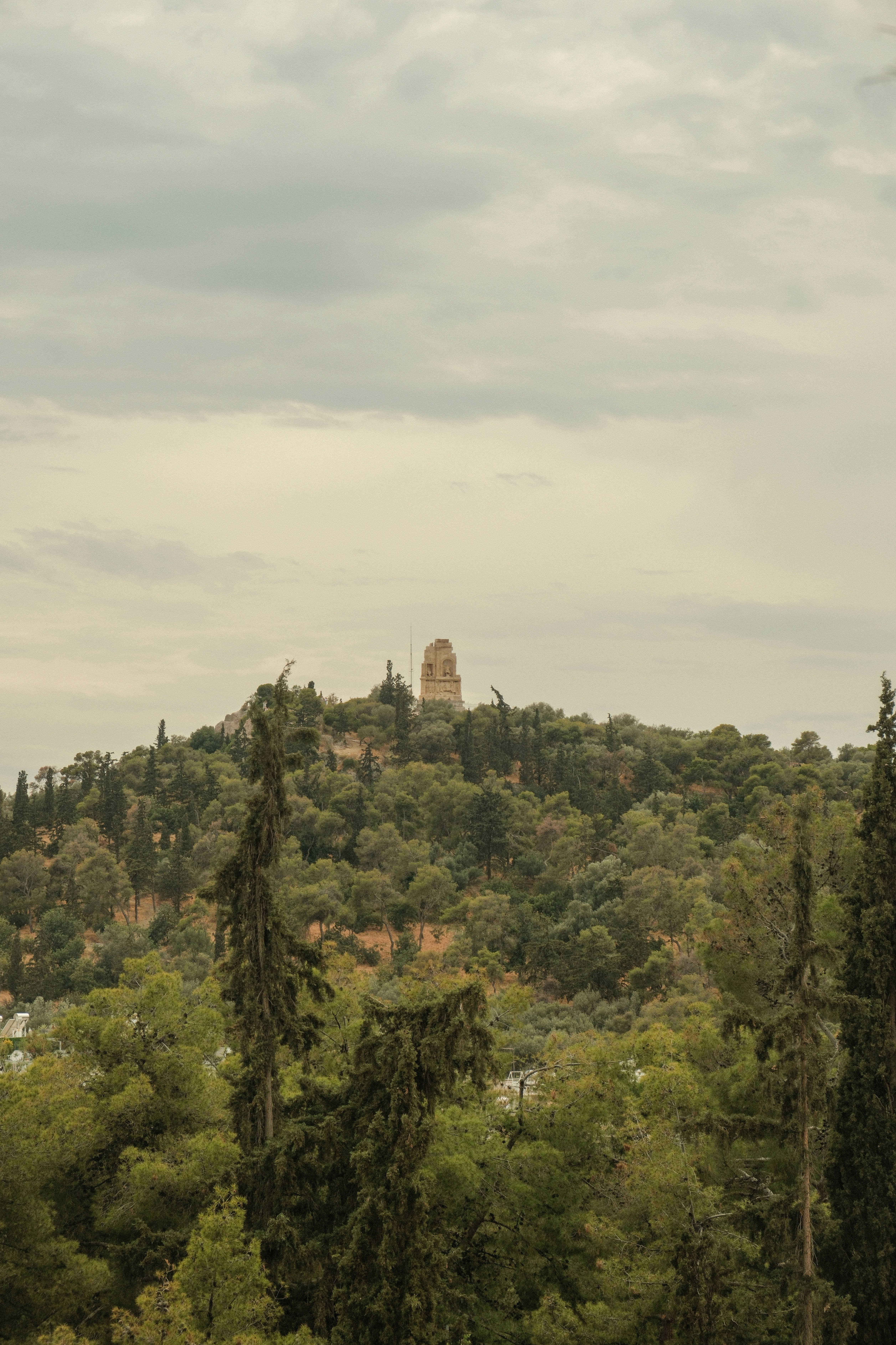 Photo by alexispresa