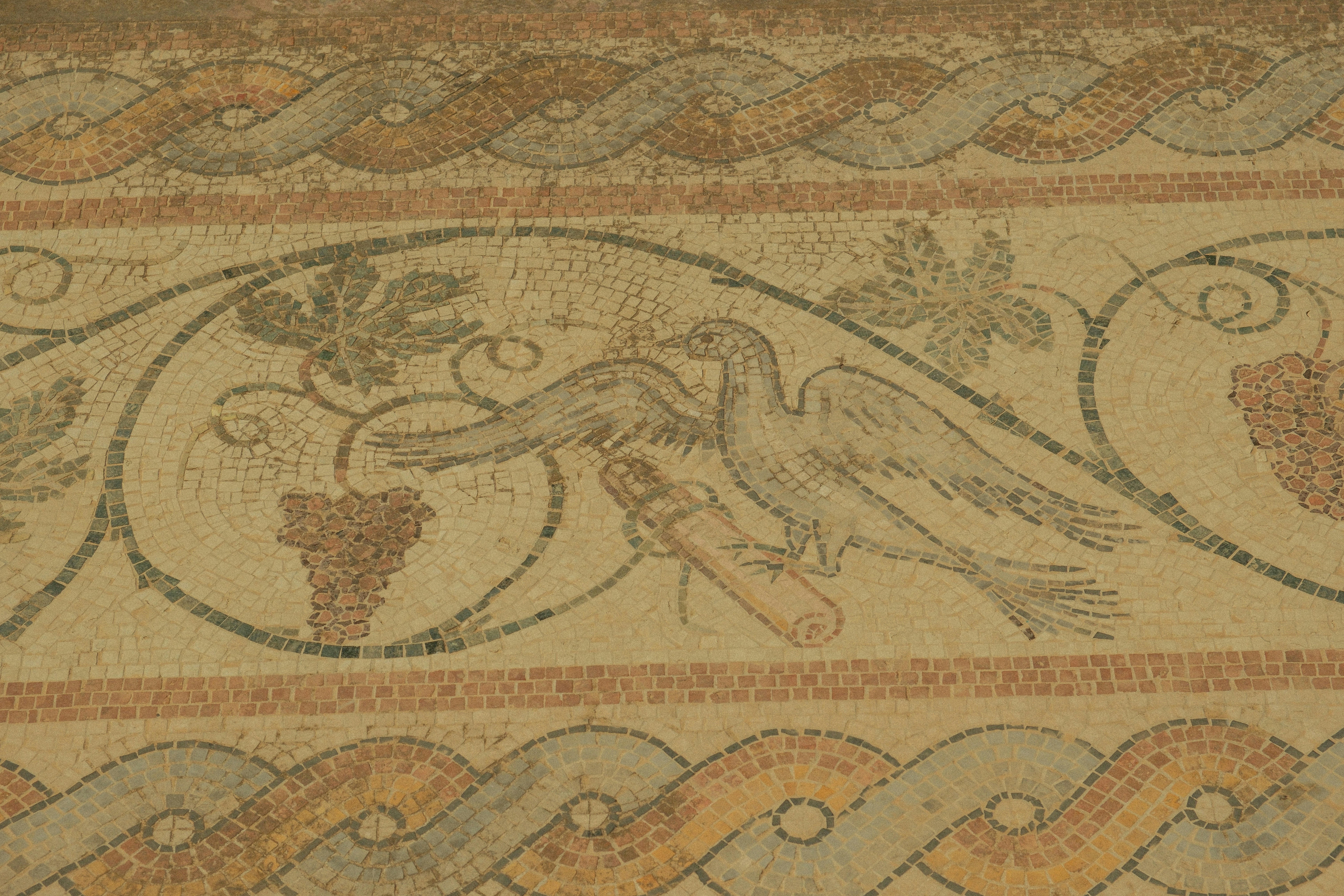 Photo by alexispresa