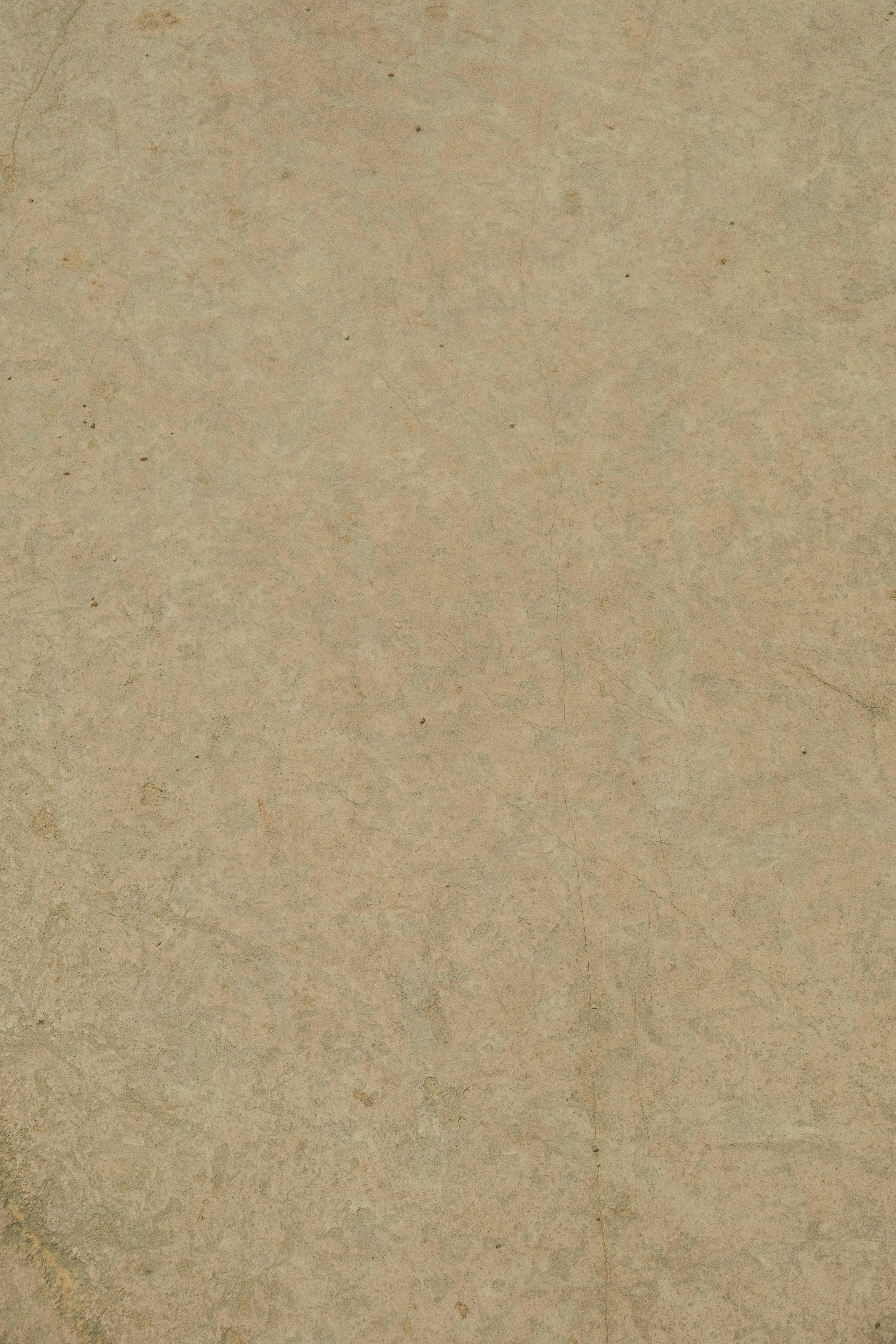 Photo by alexispresa