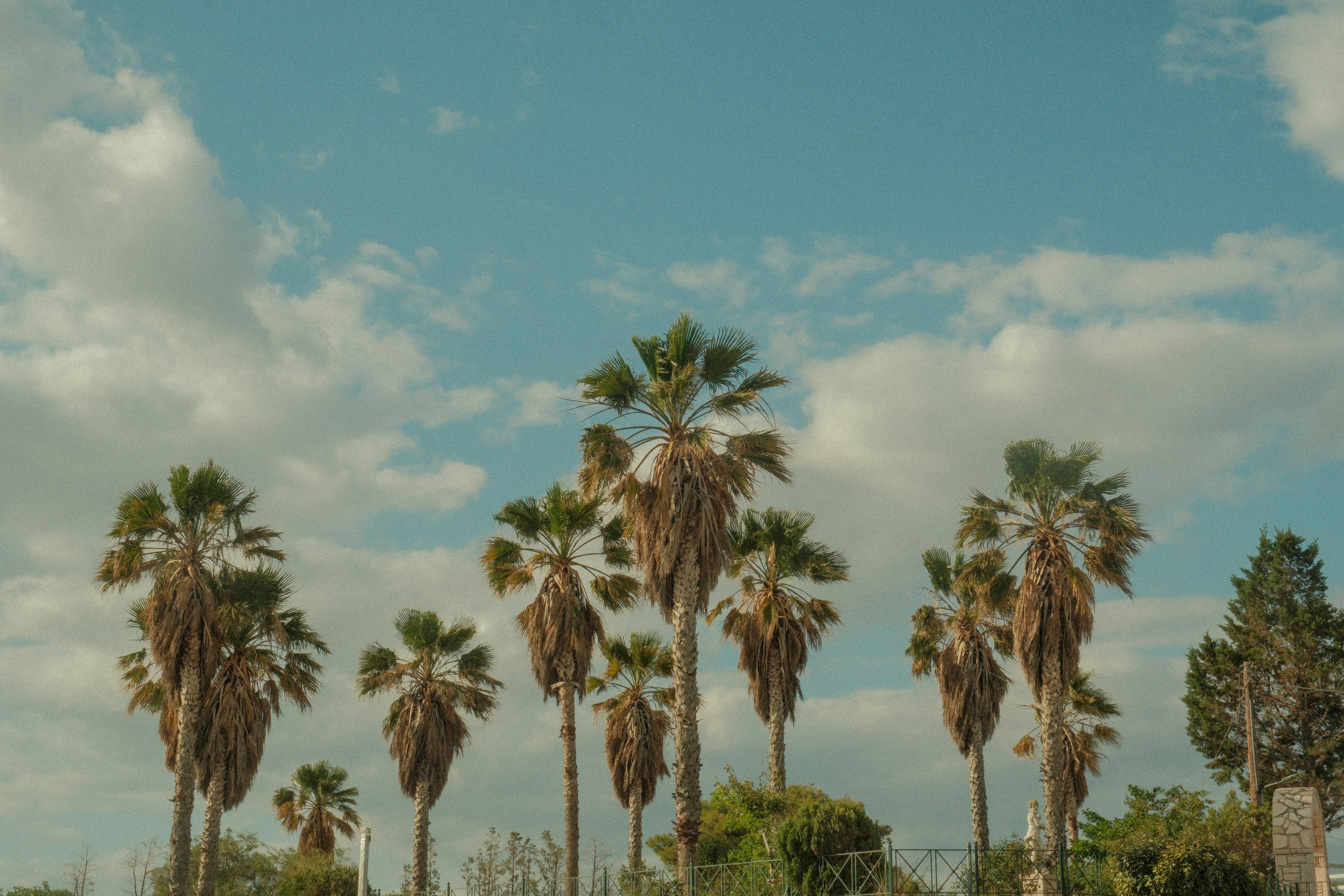 Photo by alexispresa