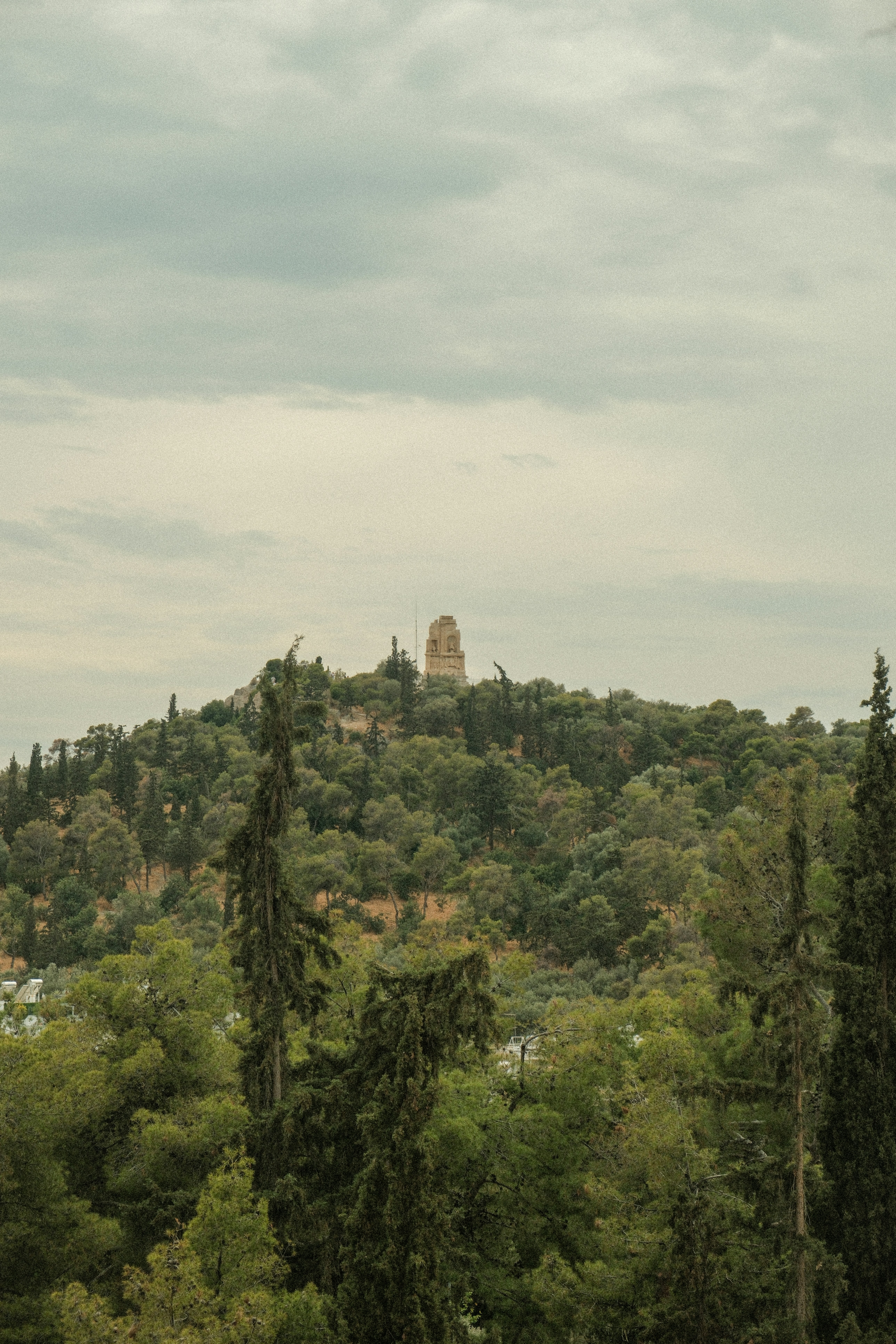 Photo by alexispresa