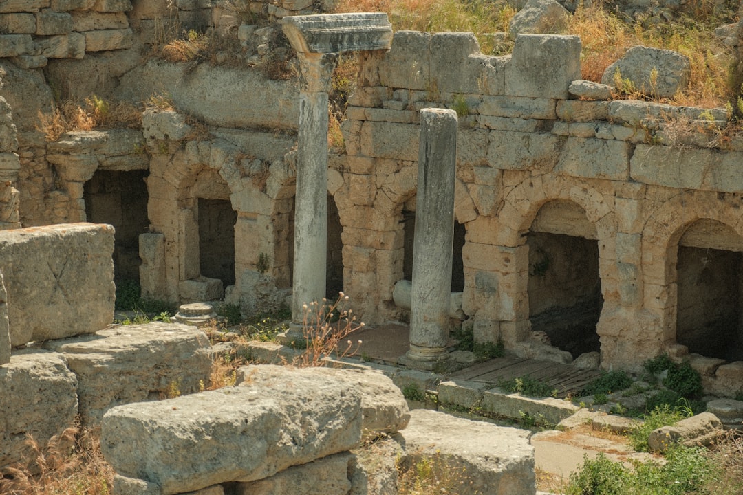 the ruins of a roman city are covered in vegetation,