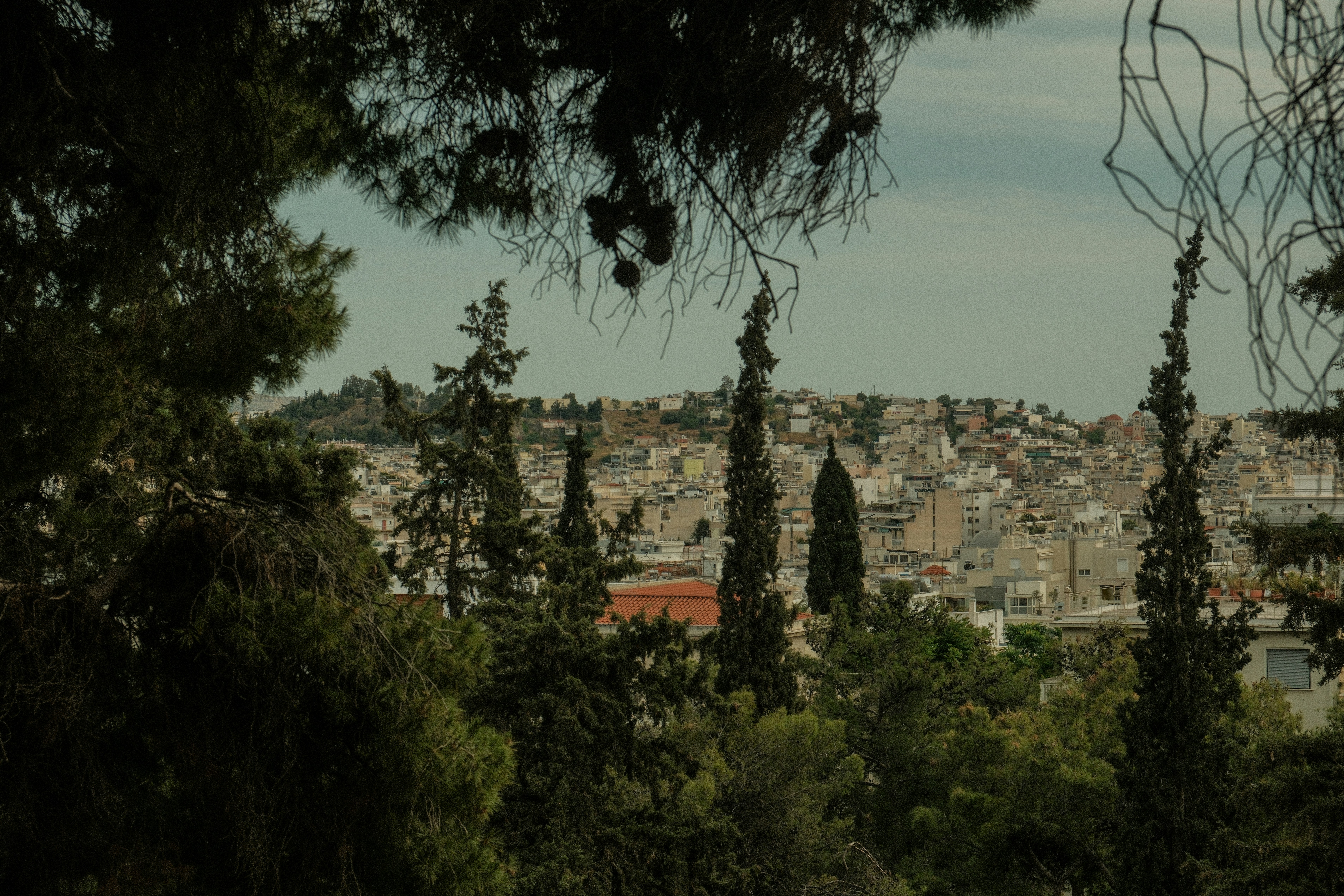 Photo by alexispresa