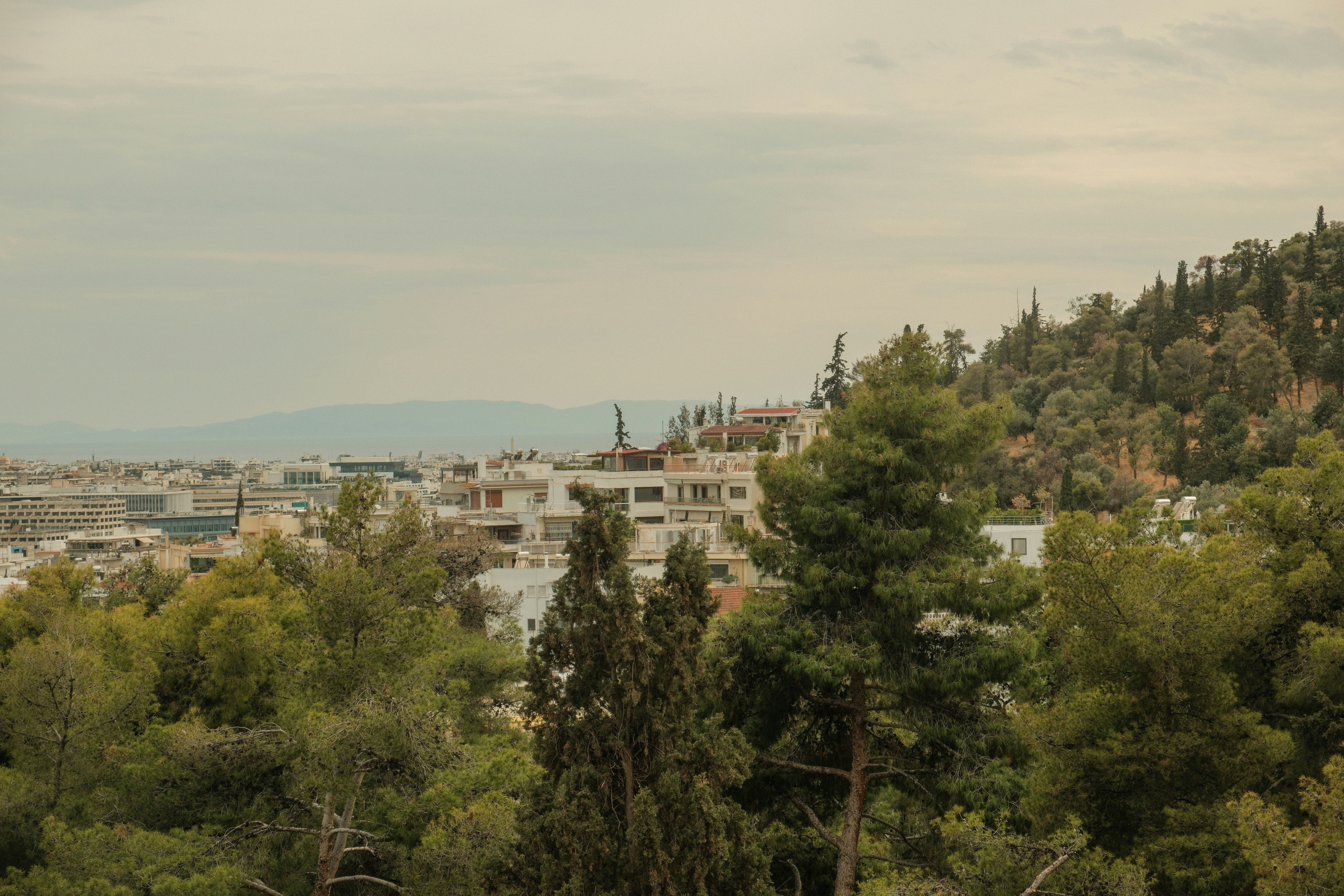 Photo by alexispresa