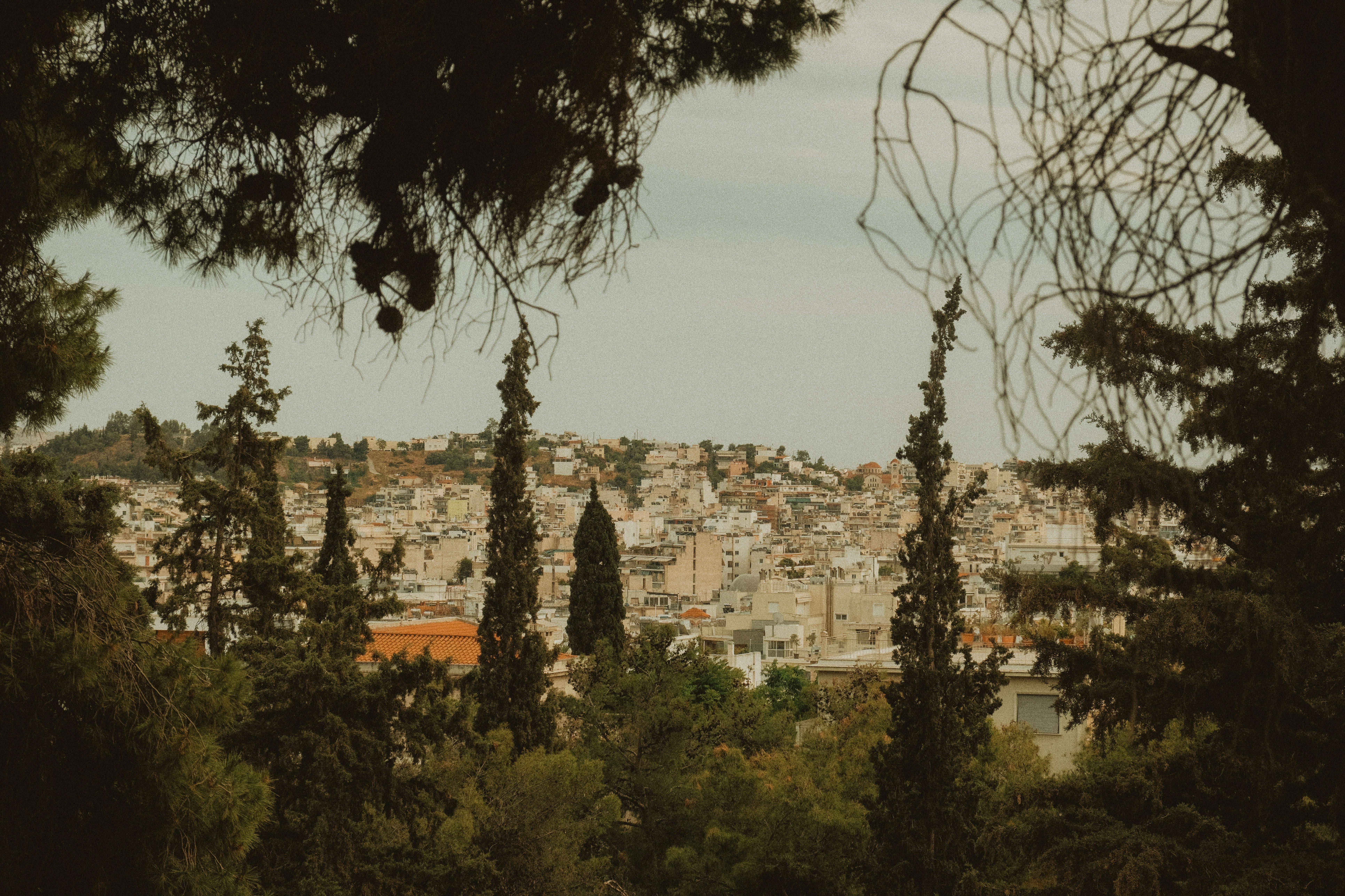 Photo by alexispresa