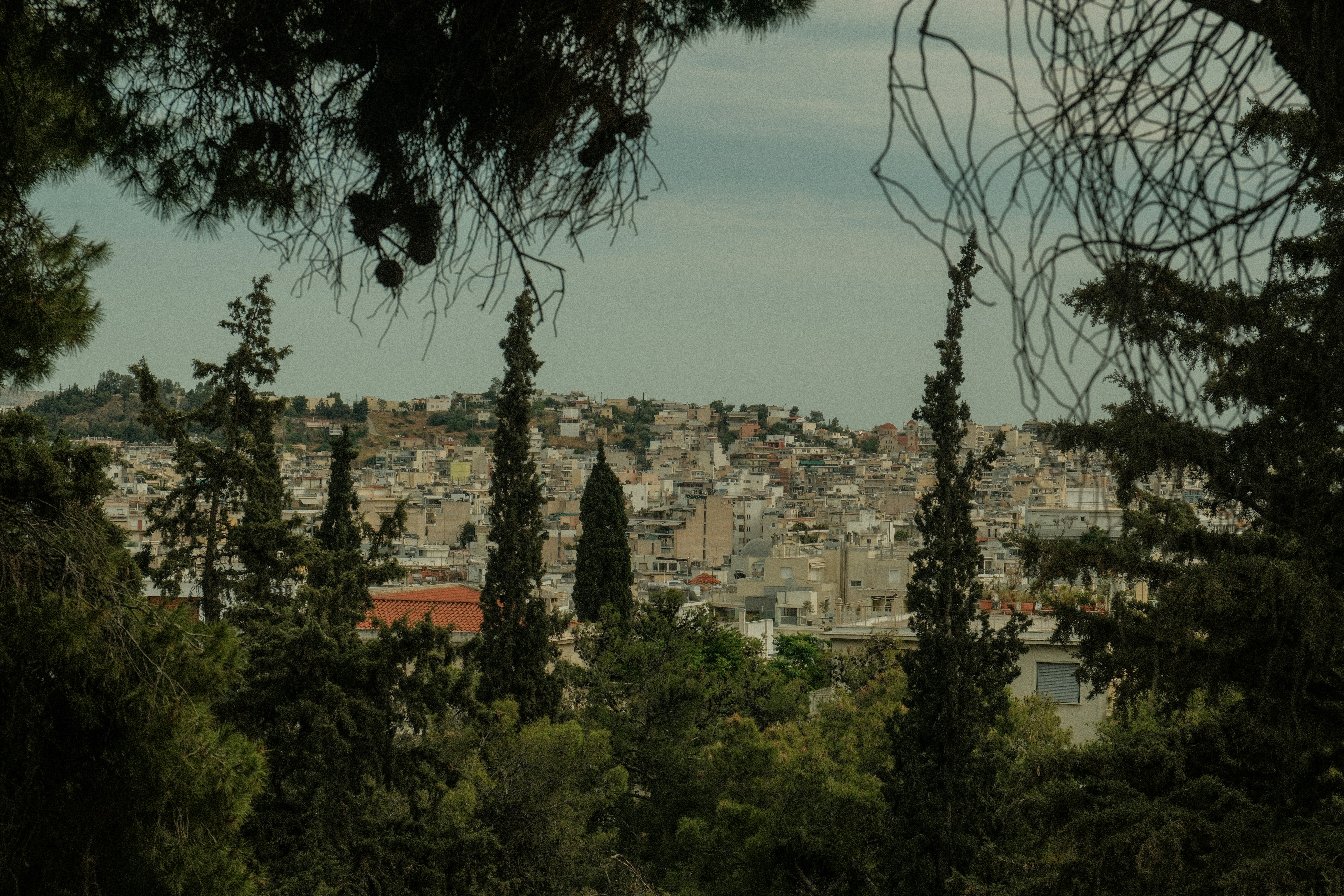 Photo by alexispresa