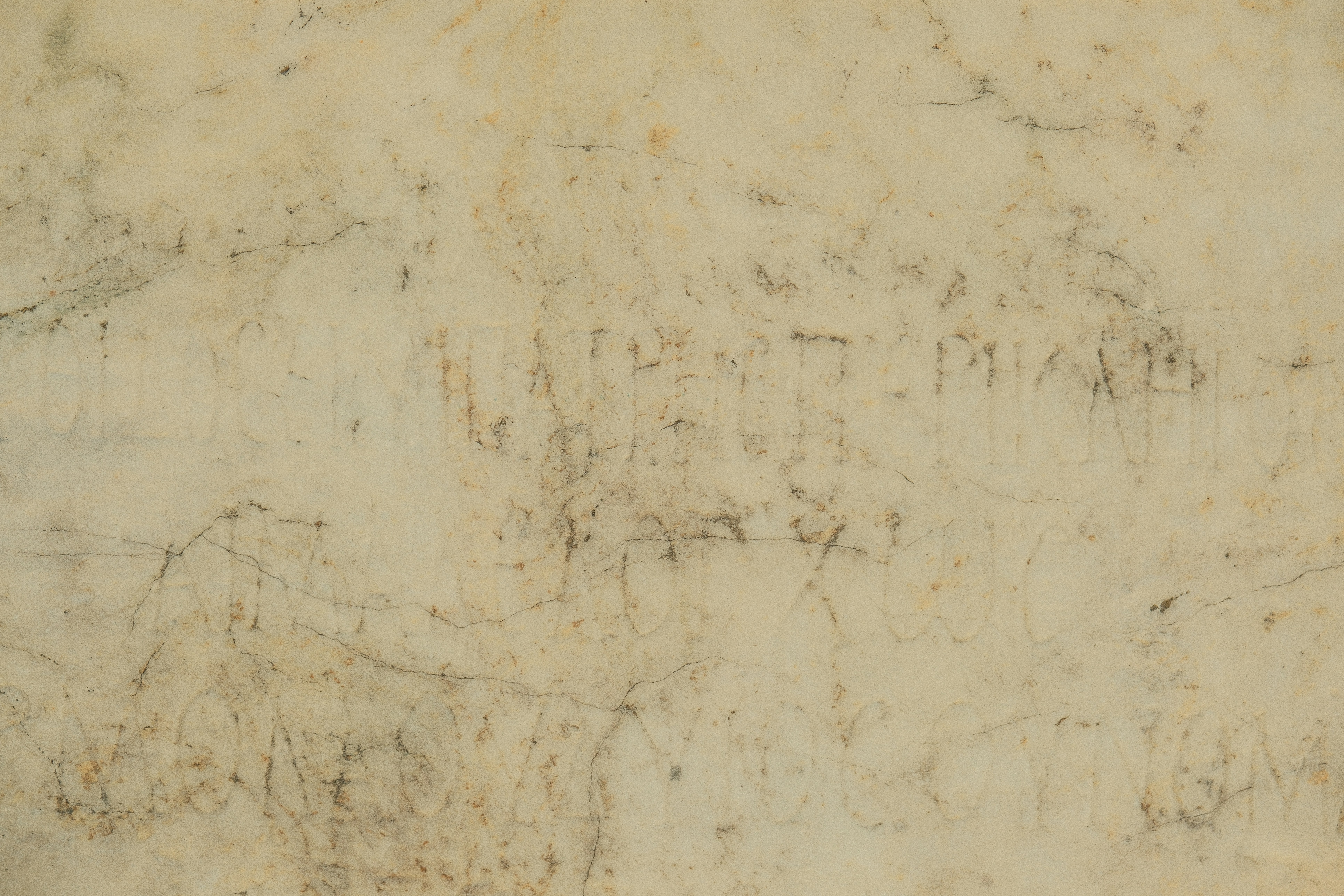 Photo by alexispresa