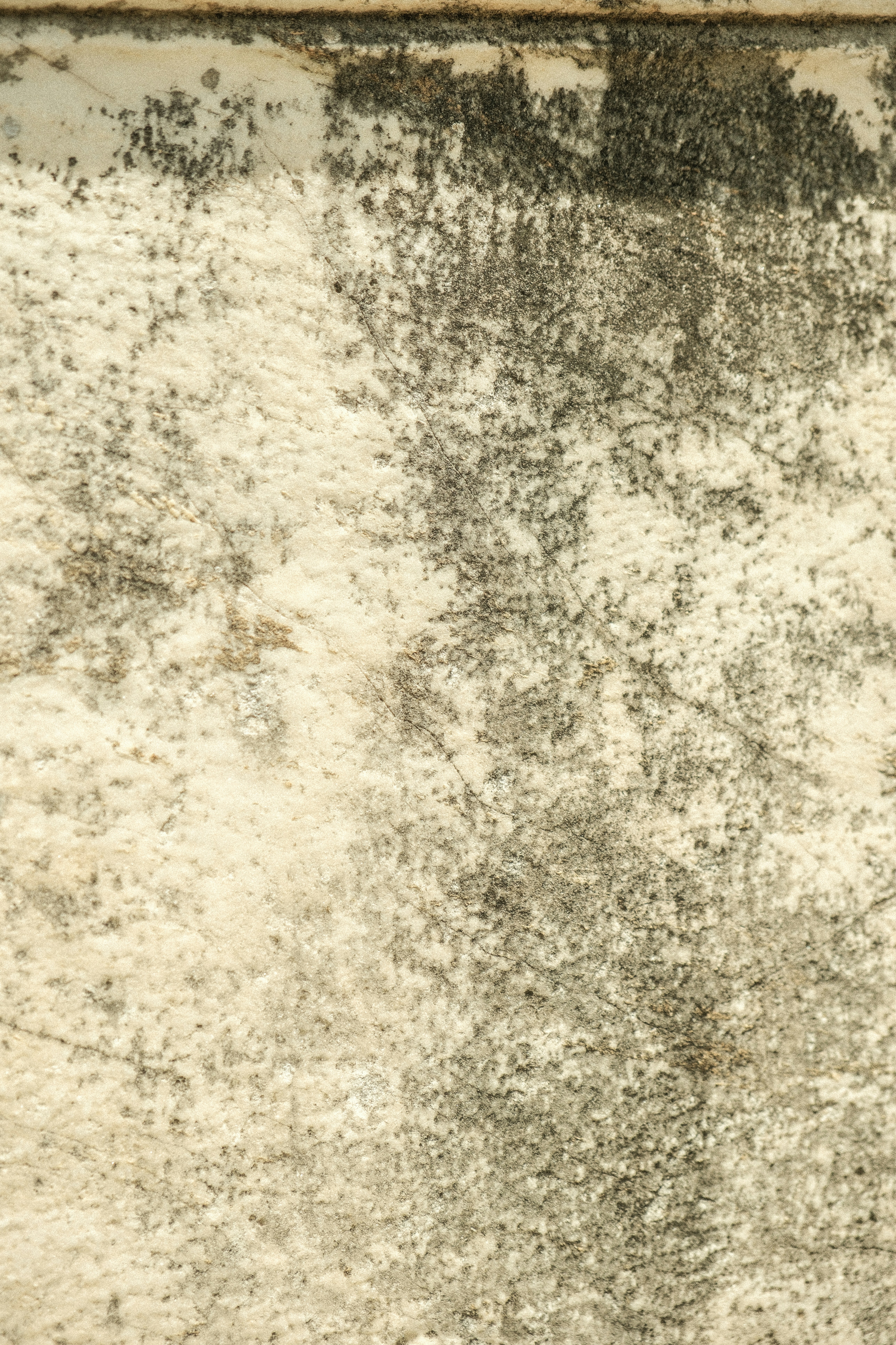 Photo by alexispresa