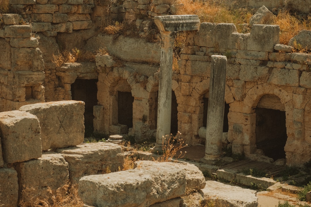 the ruins of a roman city are covered in vegetation,