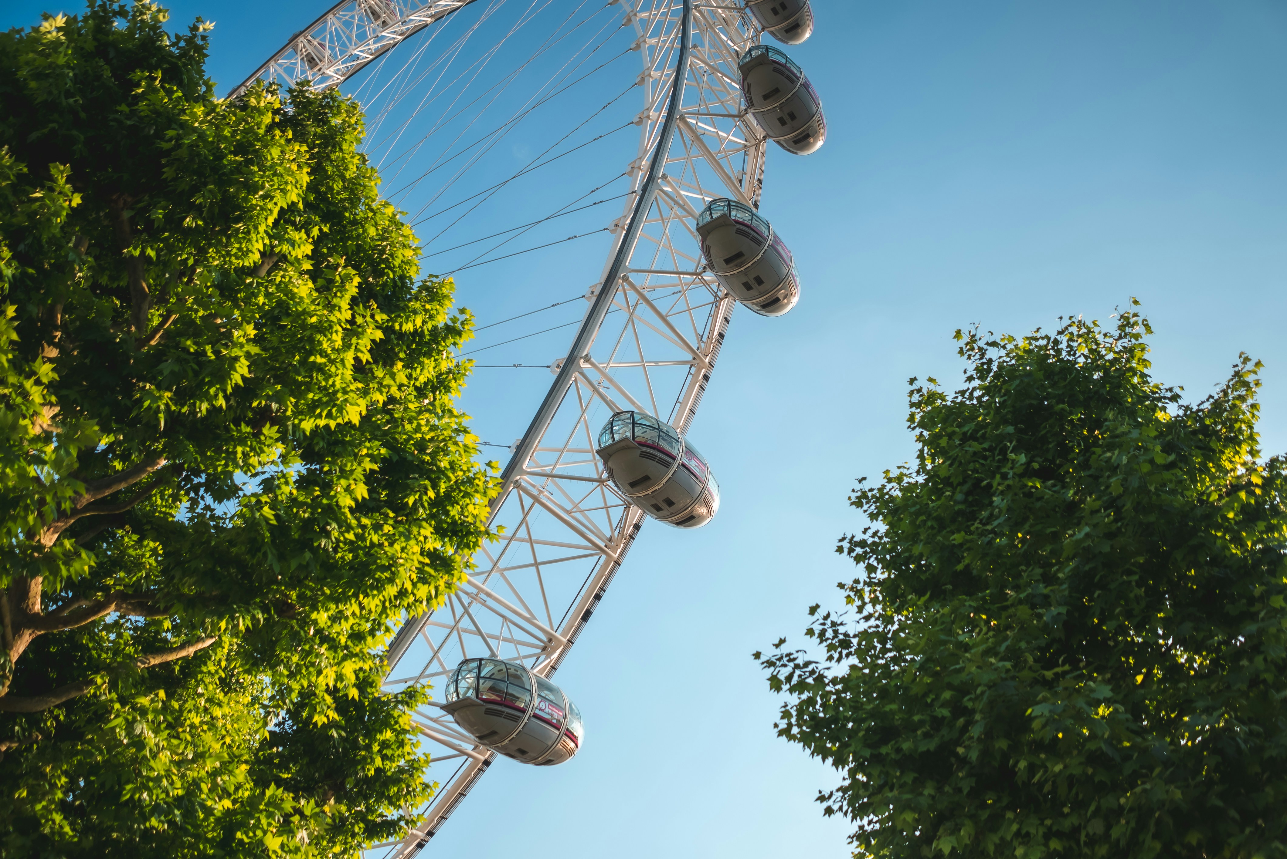 Photo by omarvellous14