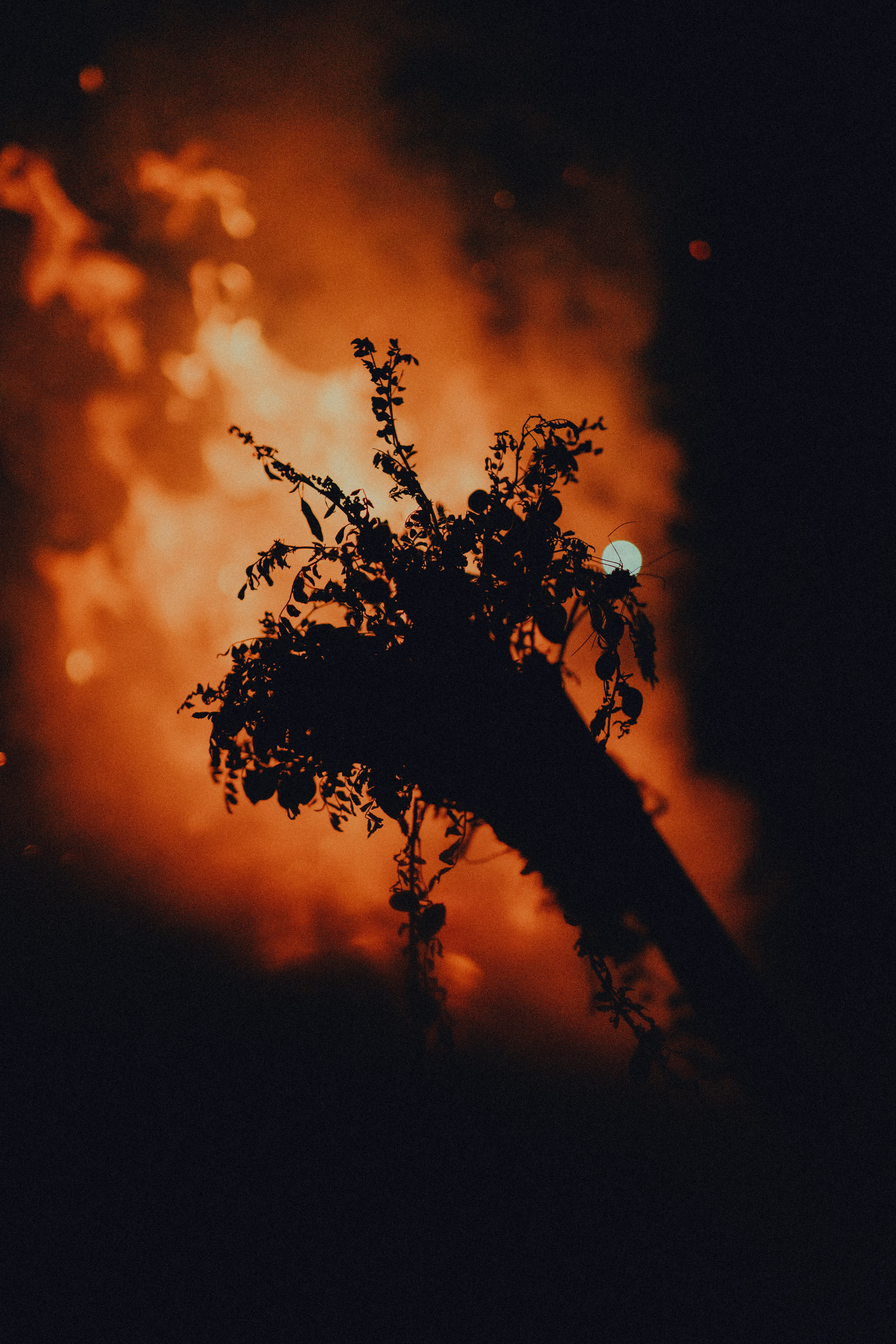 Months after fire in Altadena, determination turns to despair