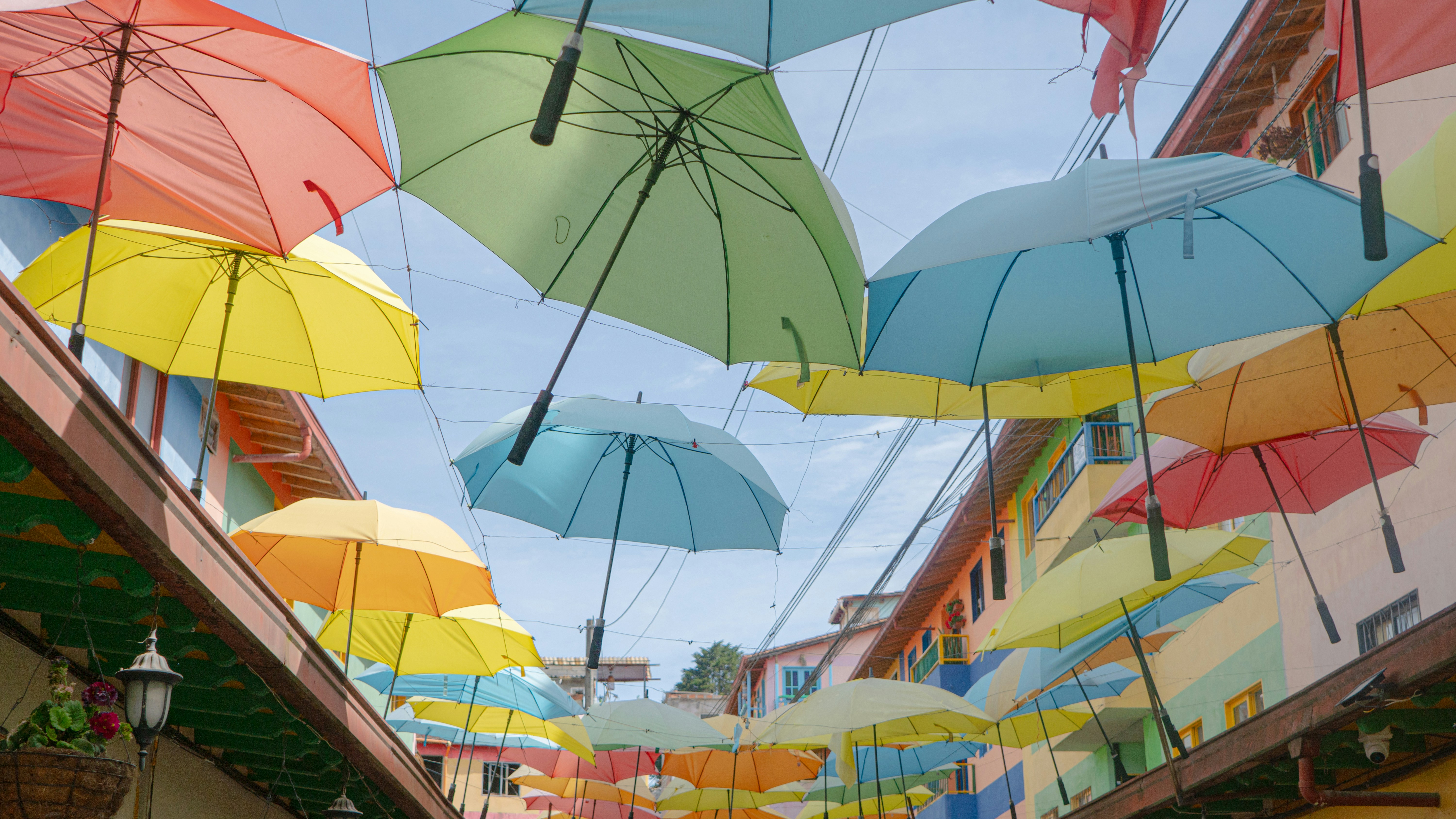 공중에 매달려 있는 우산 뭉치