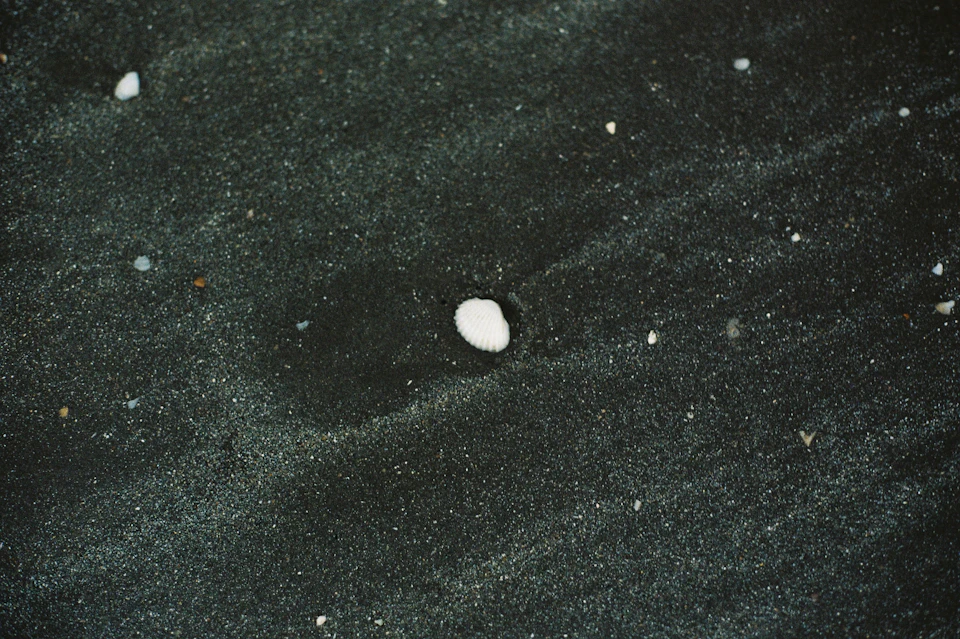 Close-up view of black sand beach with scattered white rocks and isolated object