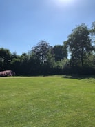 a large grassy field with trees in the background