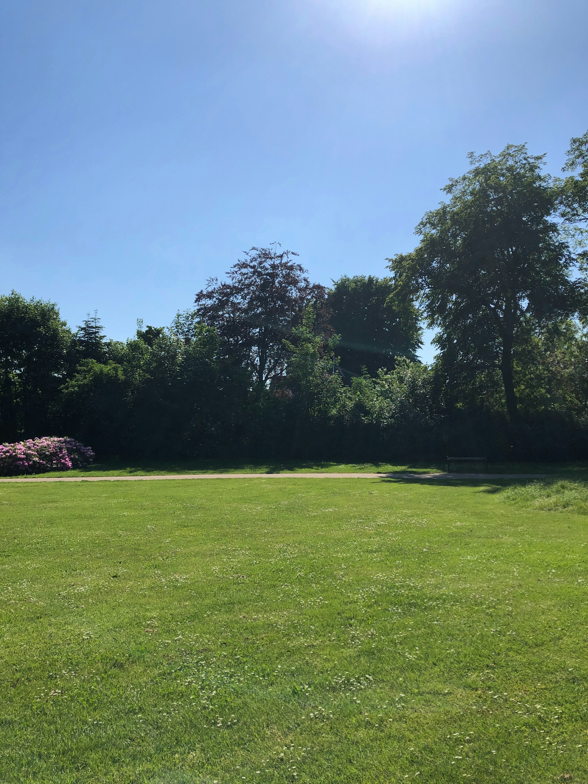 a large grassy field with trees in the background
