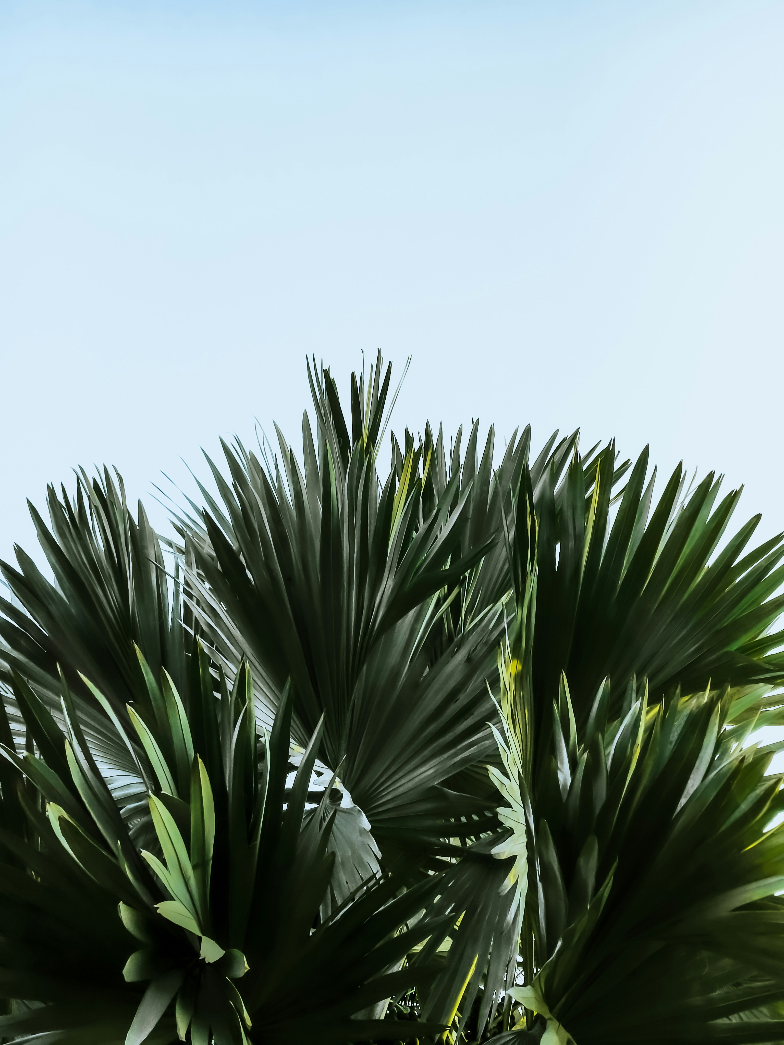 Photo by kalpit_visavadiya