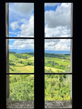 a window with a view of a lush green field