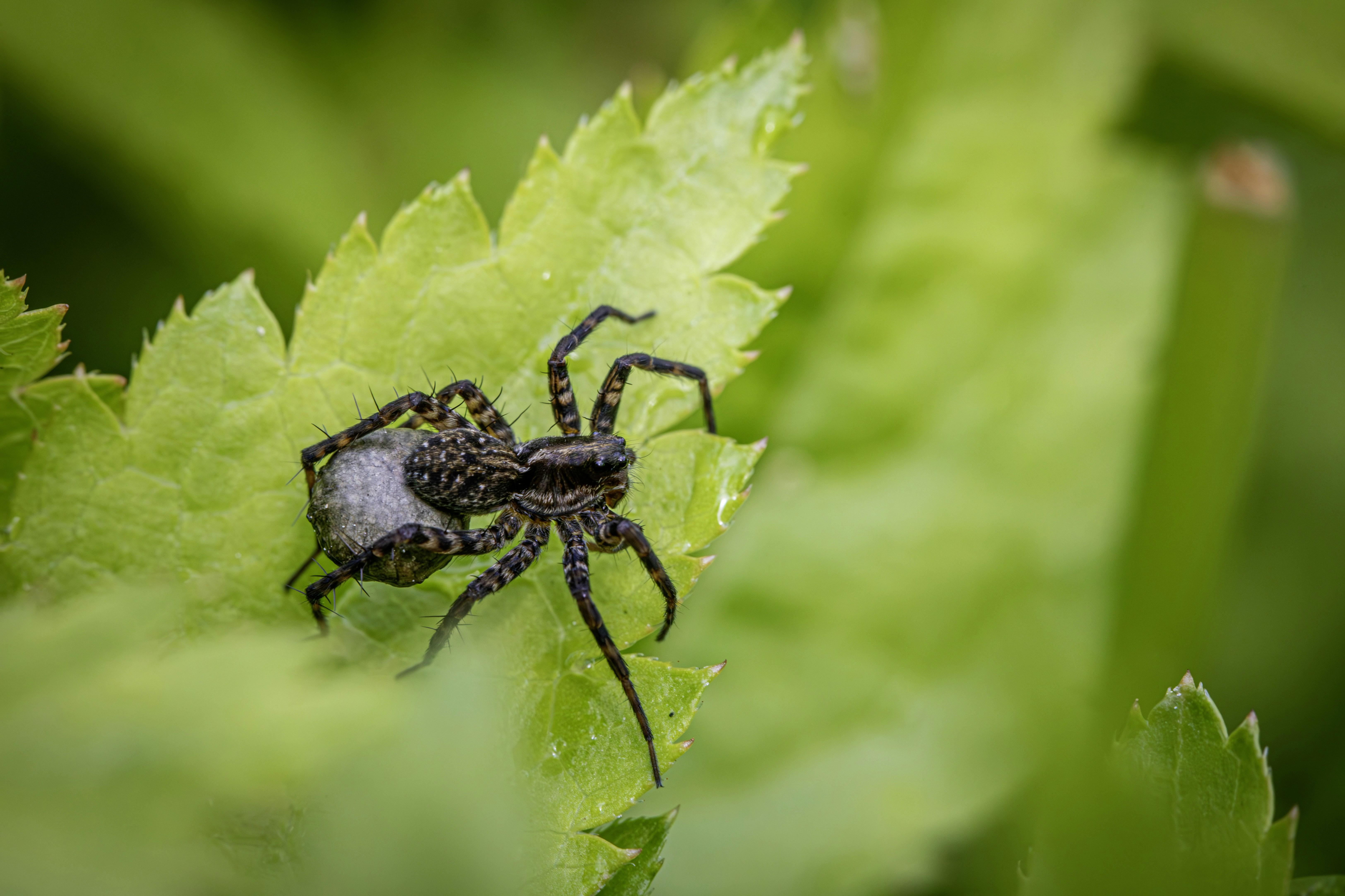 Photo by erik_karits