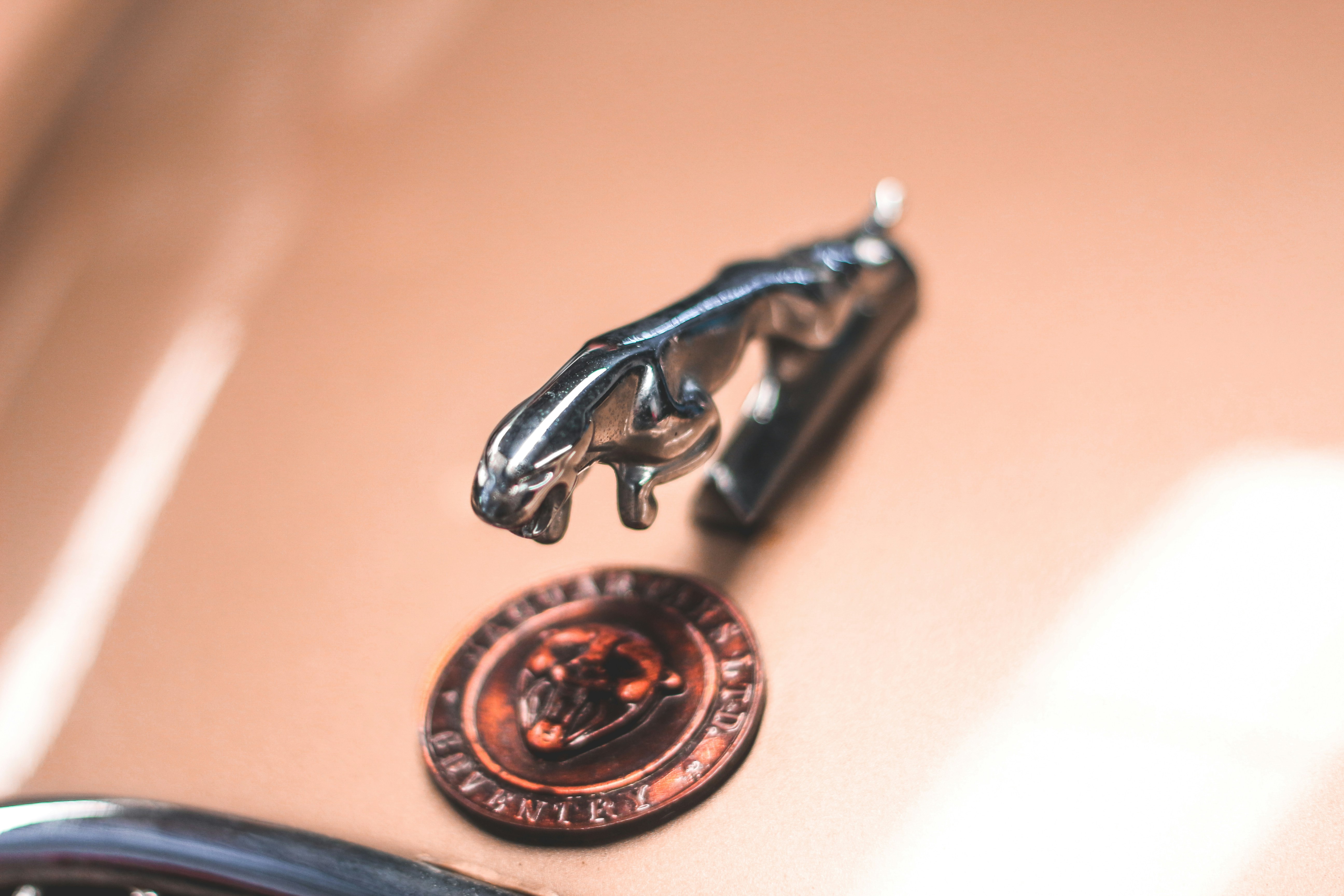 Un primer plano de una insignia en un coche