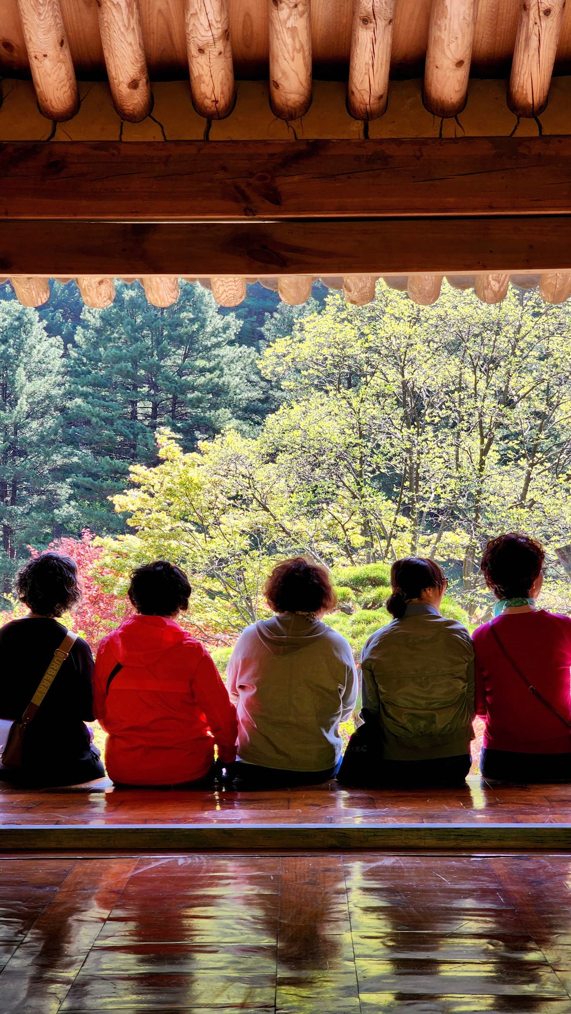 국립중앙박물관 어린이 박물관 예약 팁 및 주말 가족 나들이 코스 추천 이미지2