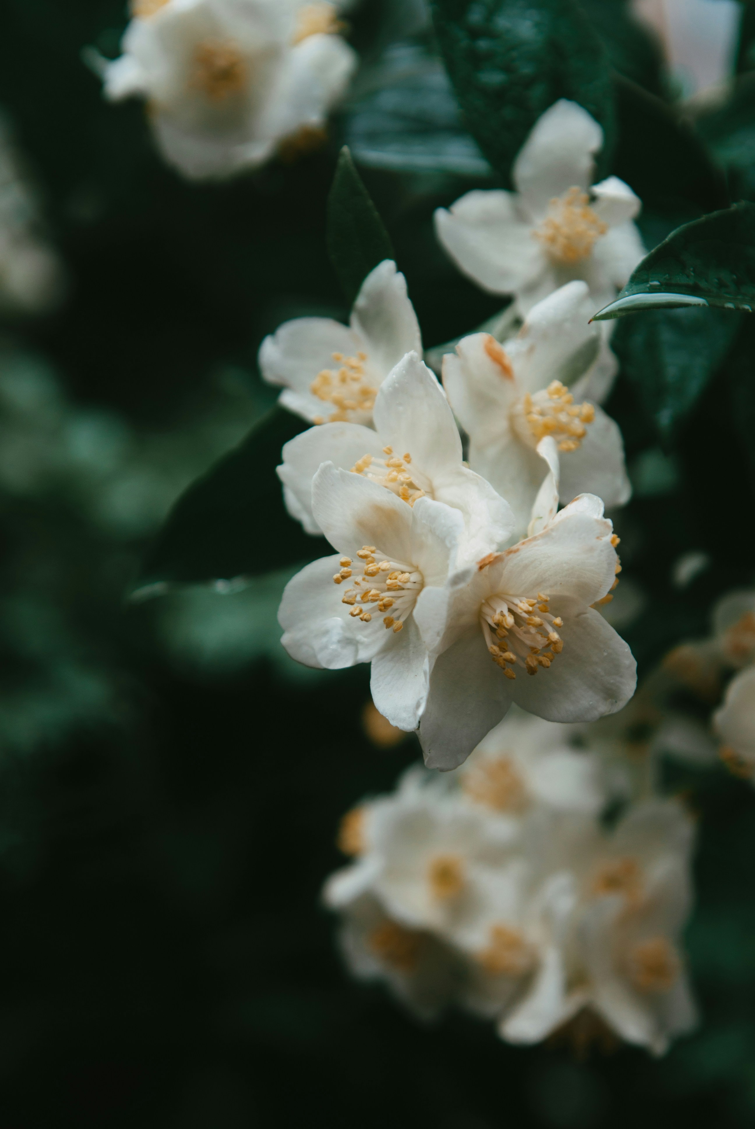 Photo by moonmoons_days