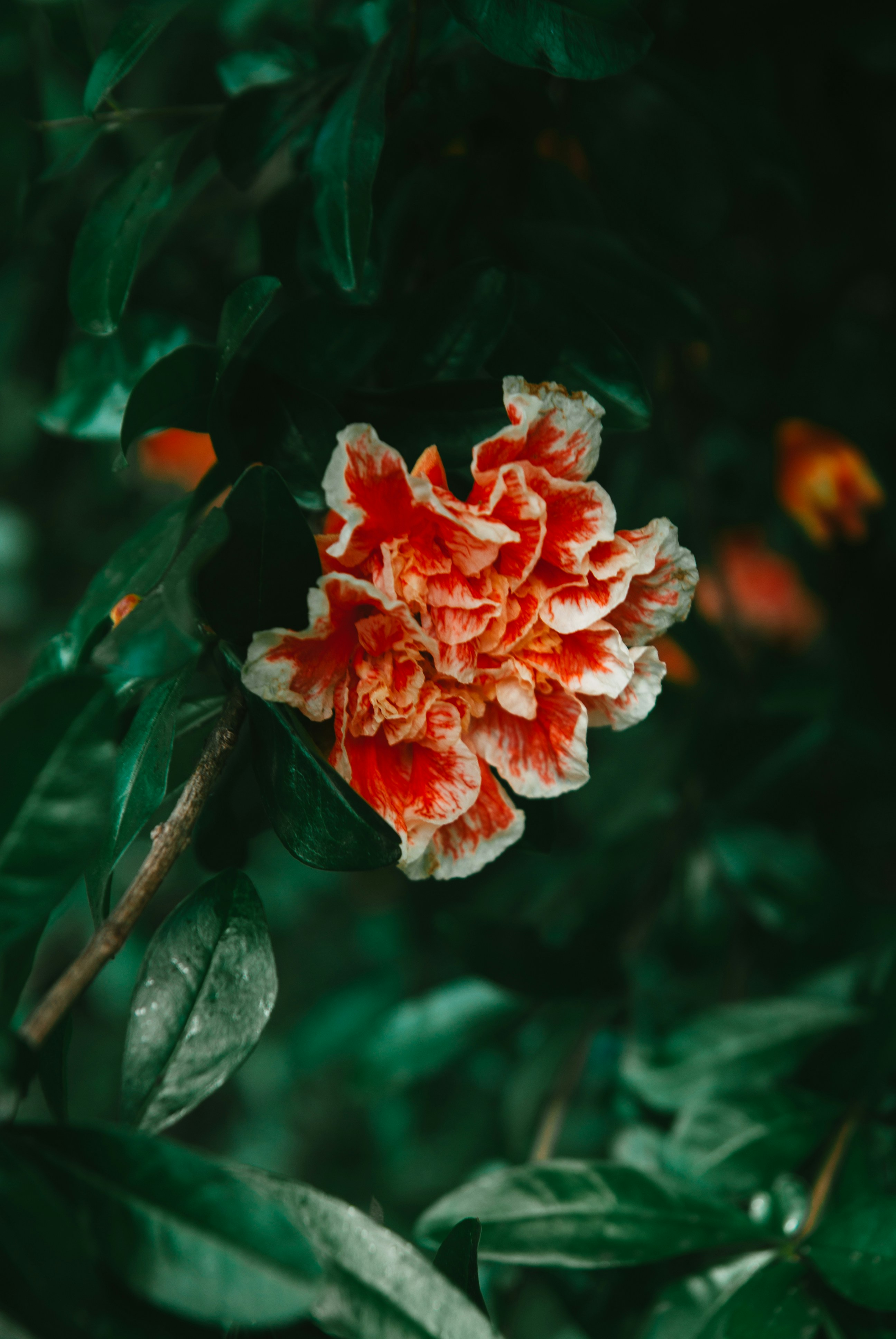 Photo by moonmoons_days