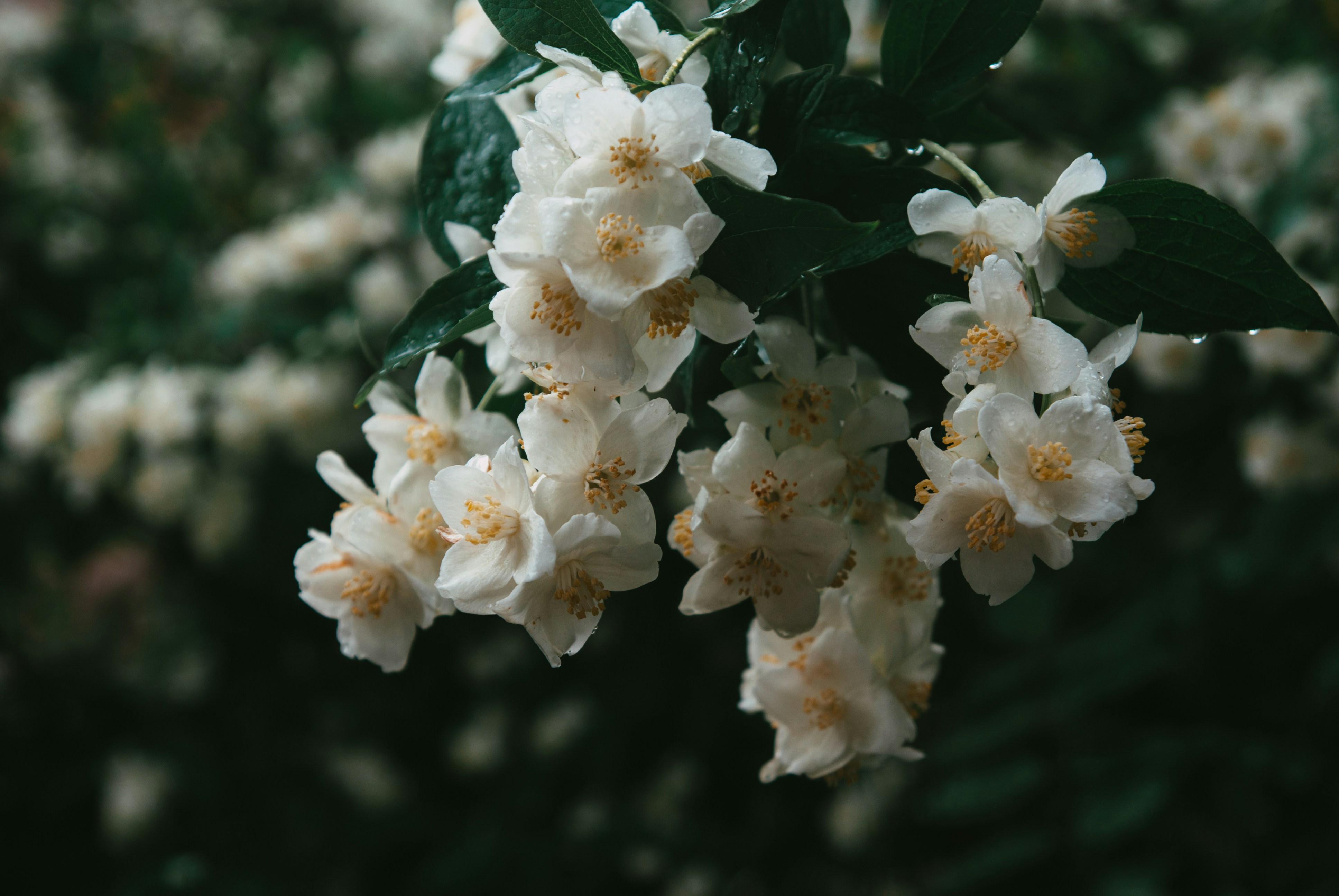 Photo by moonmoons_days