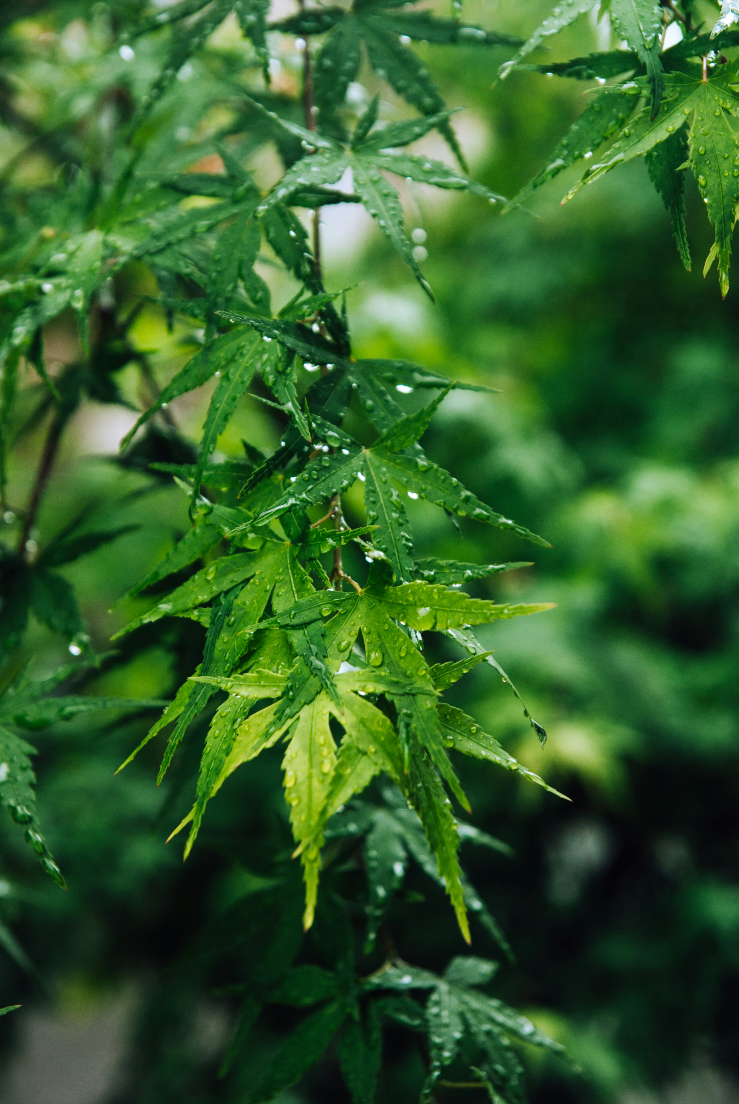 Photo by moonmoons_days