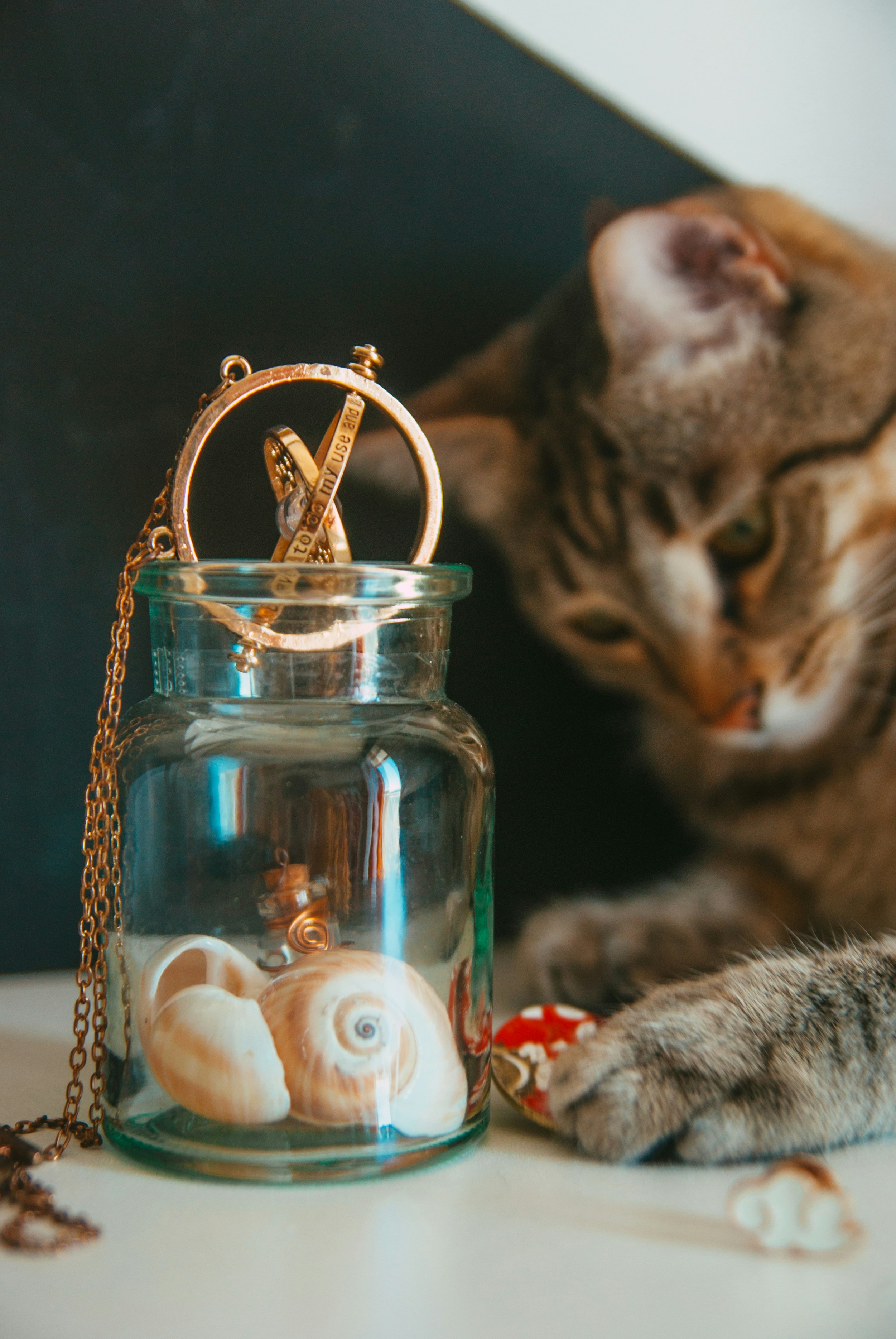 Photo by moonmoons_days