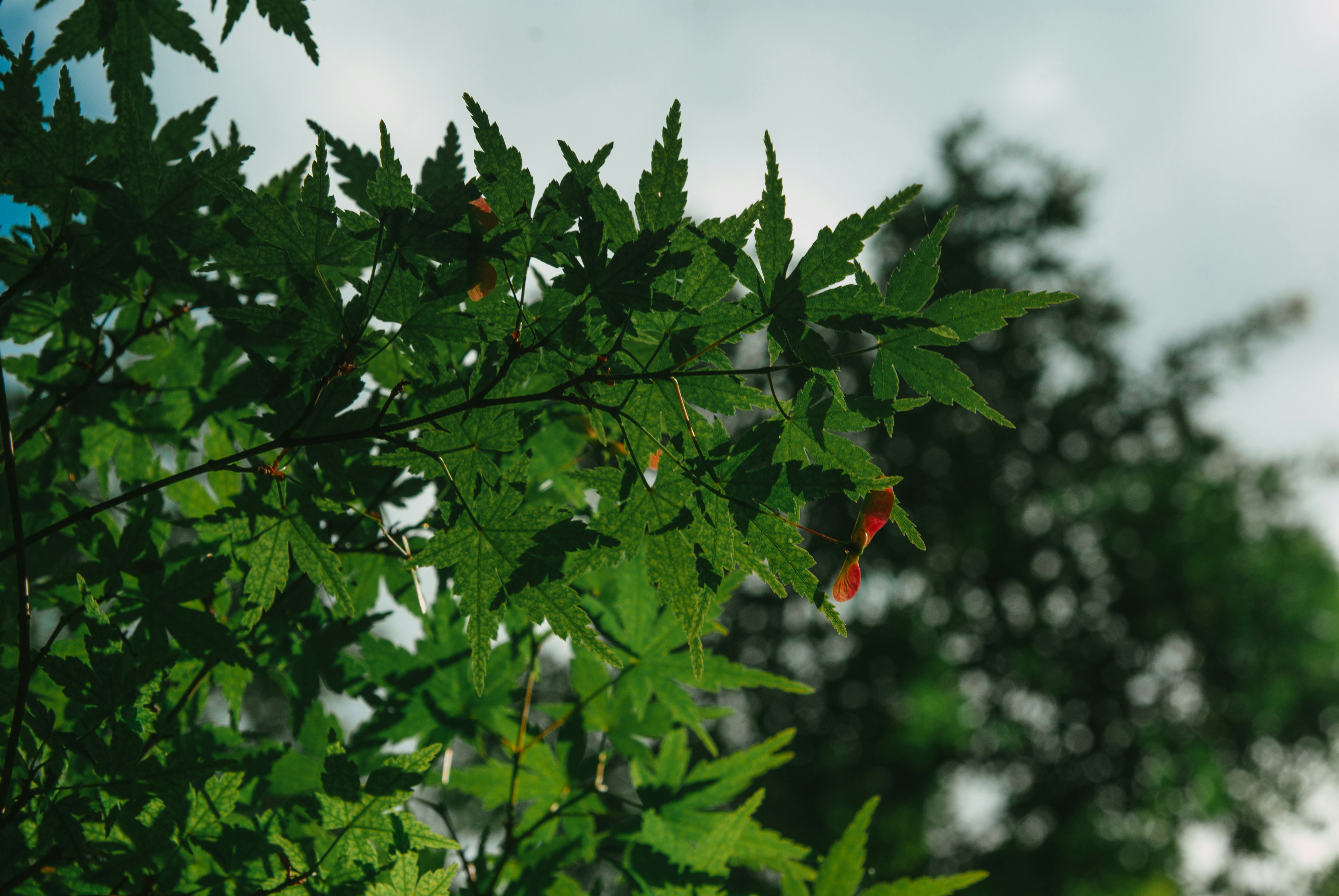 Photo by moonmoons_days