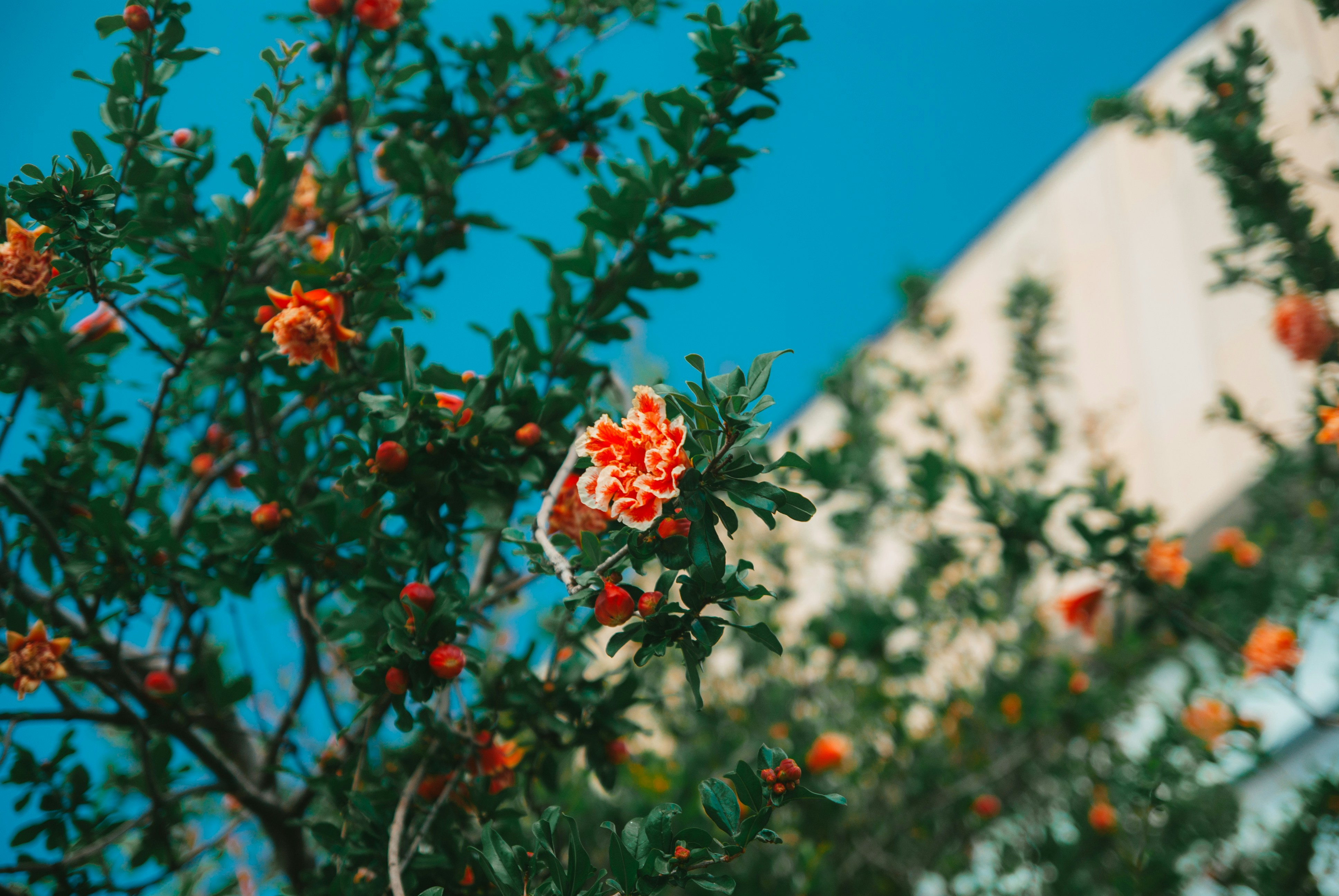 Photo by moonmoons_days