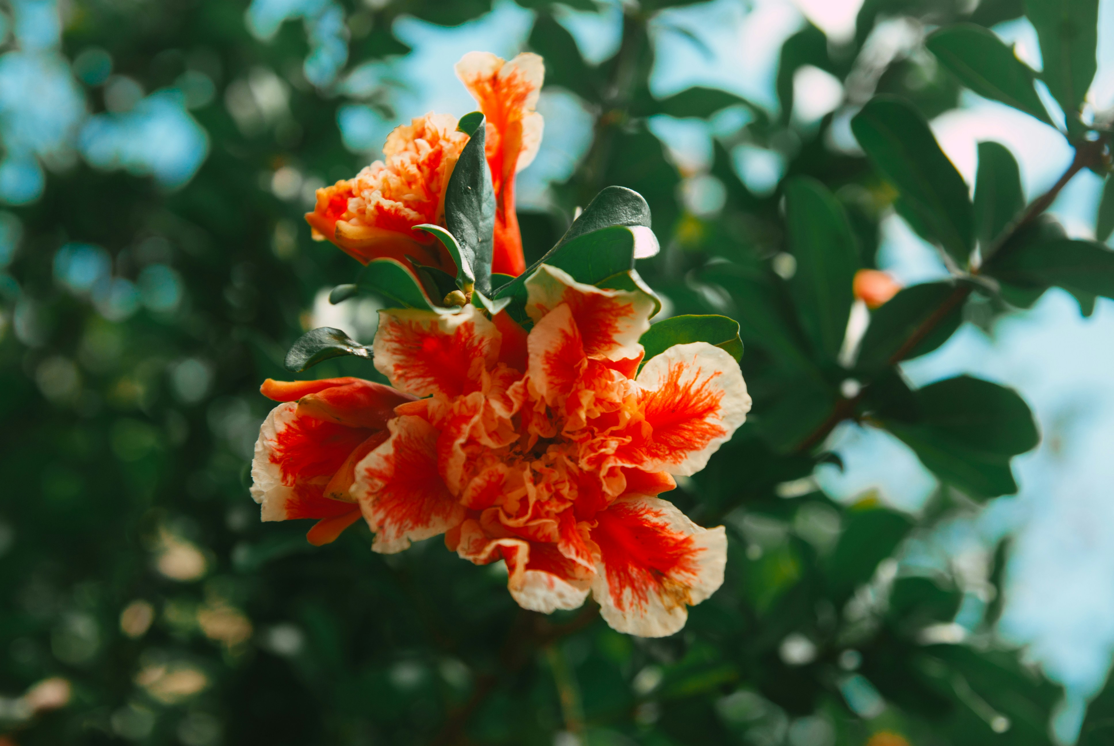 Photo by moonmoons_days