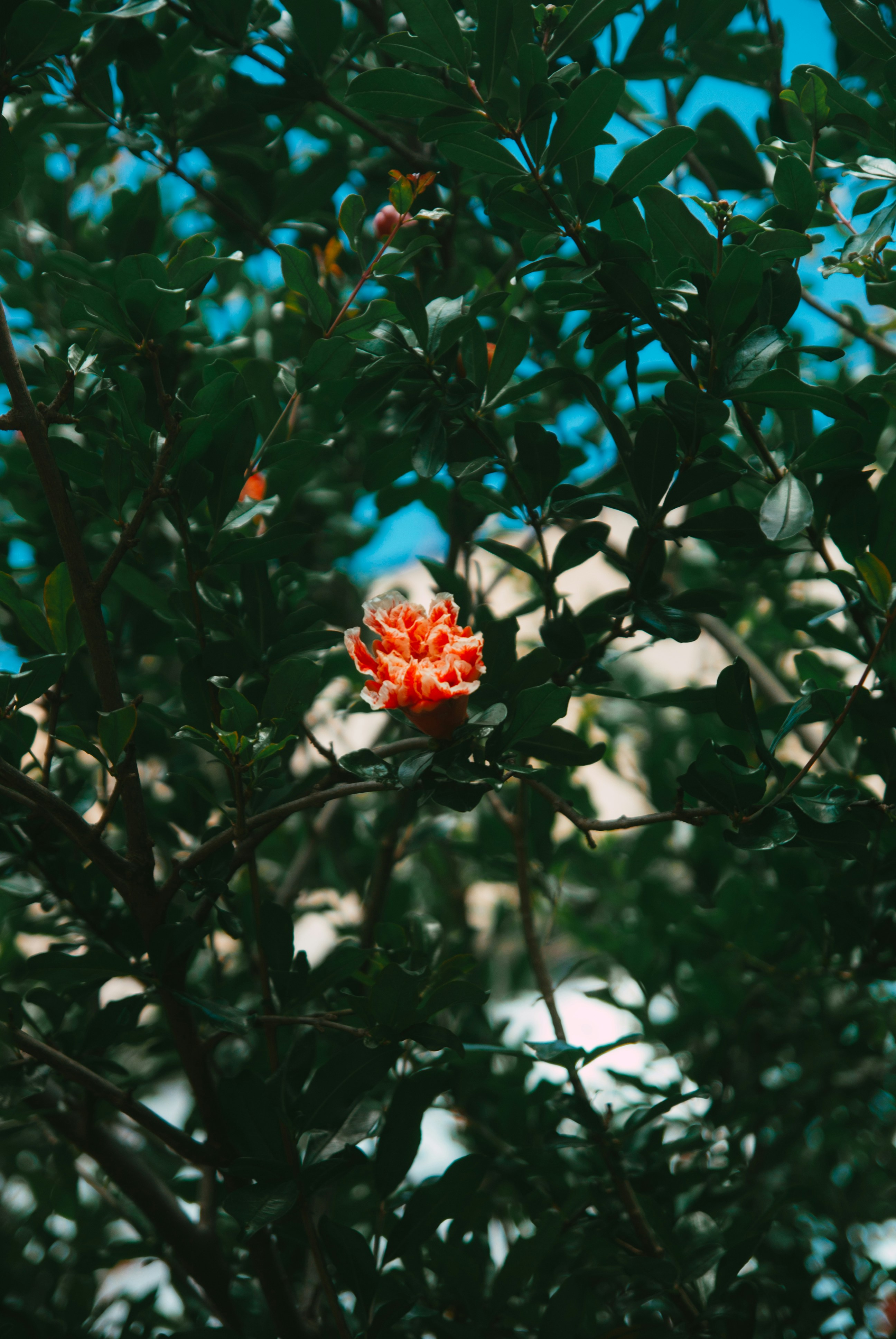 Photo by moonmoons_days