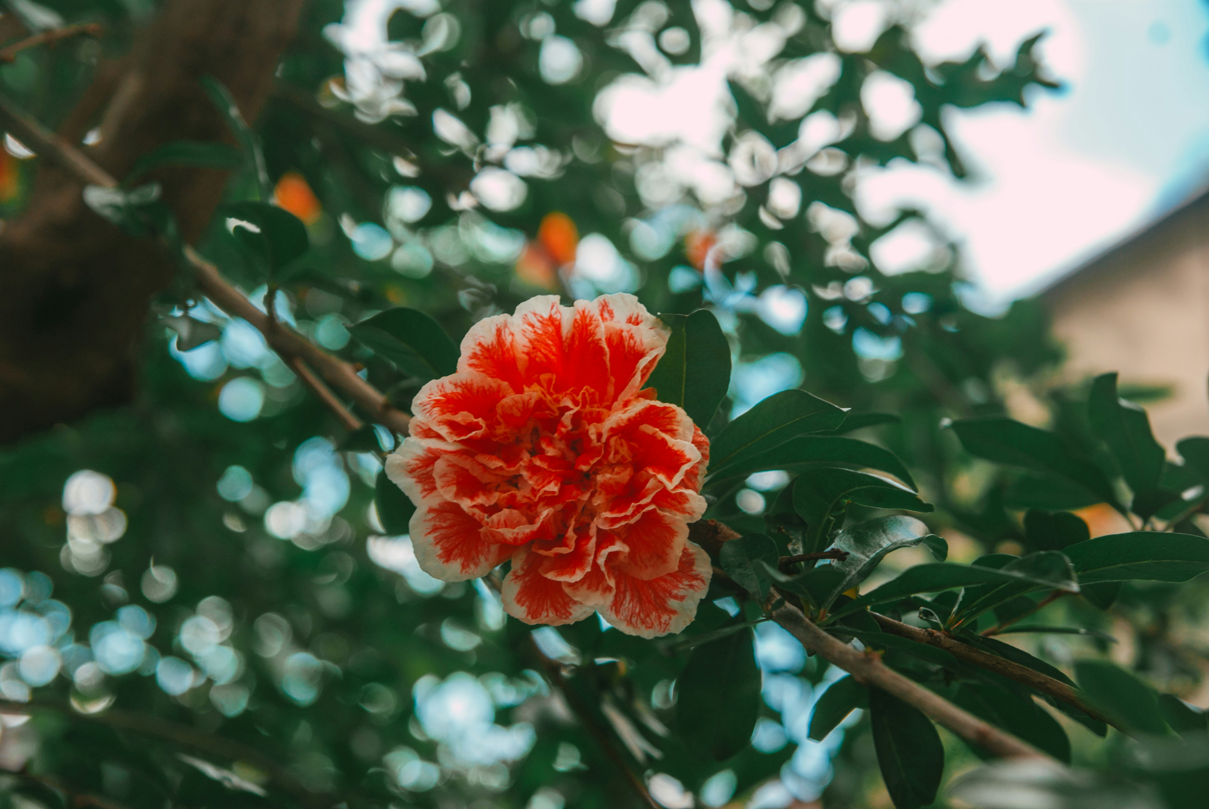 Photo by moonmoons_days